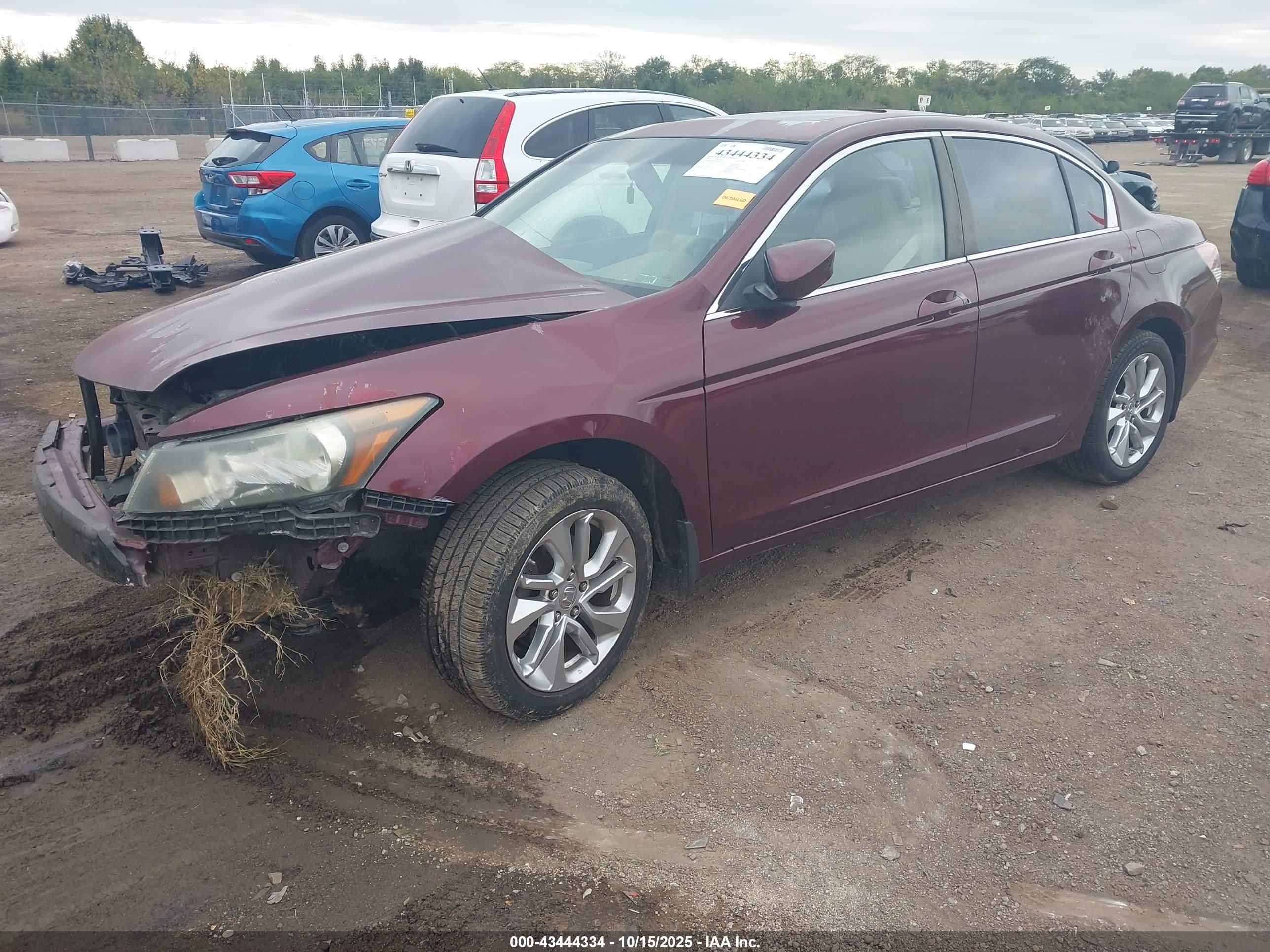 HONDA ACCORD image 2