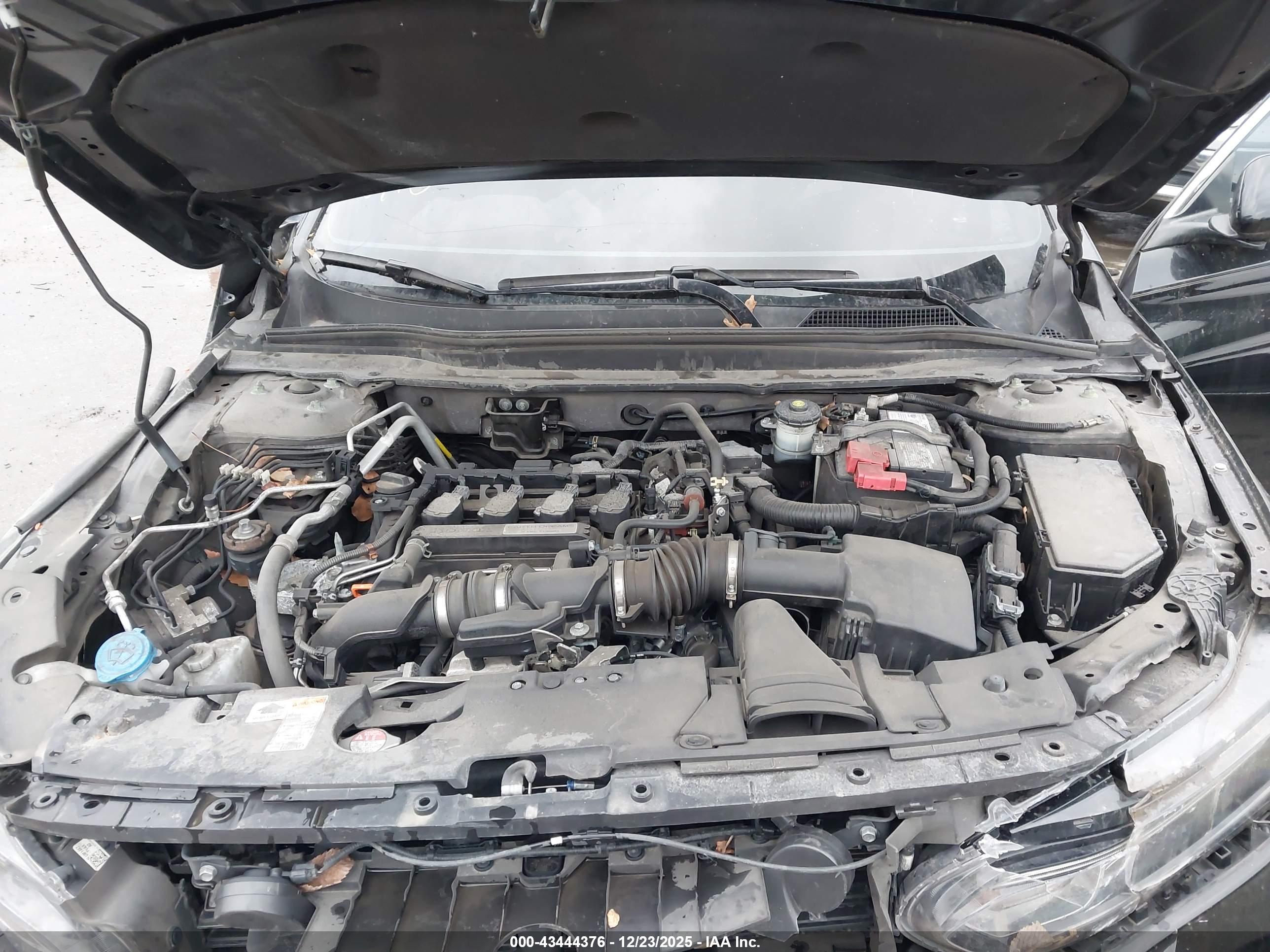 HONDA ACCORD image 10