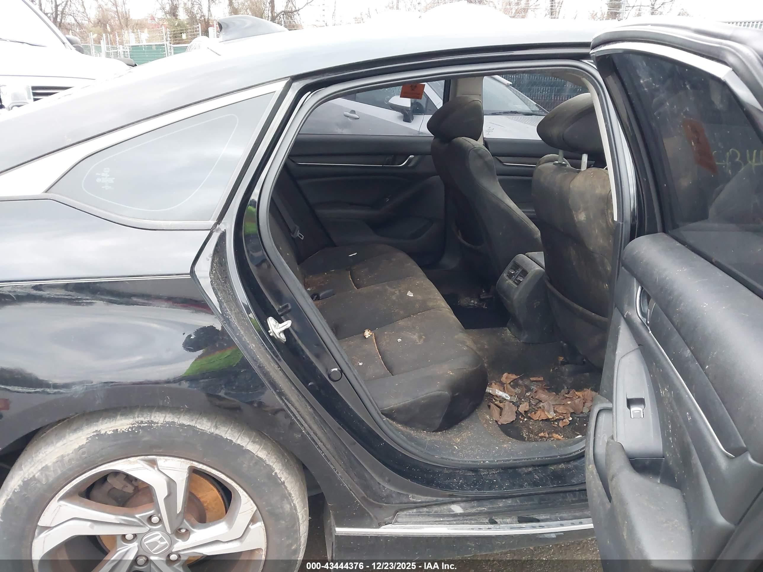 HONDA ACCORD image 8