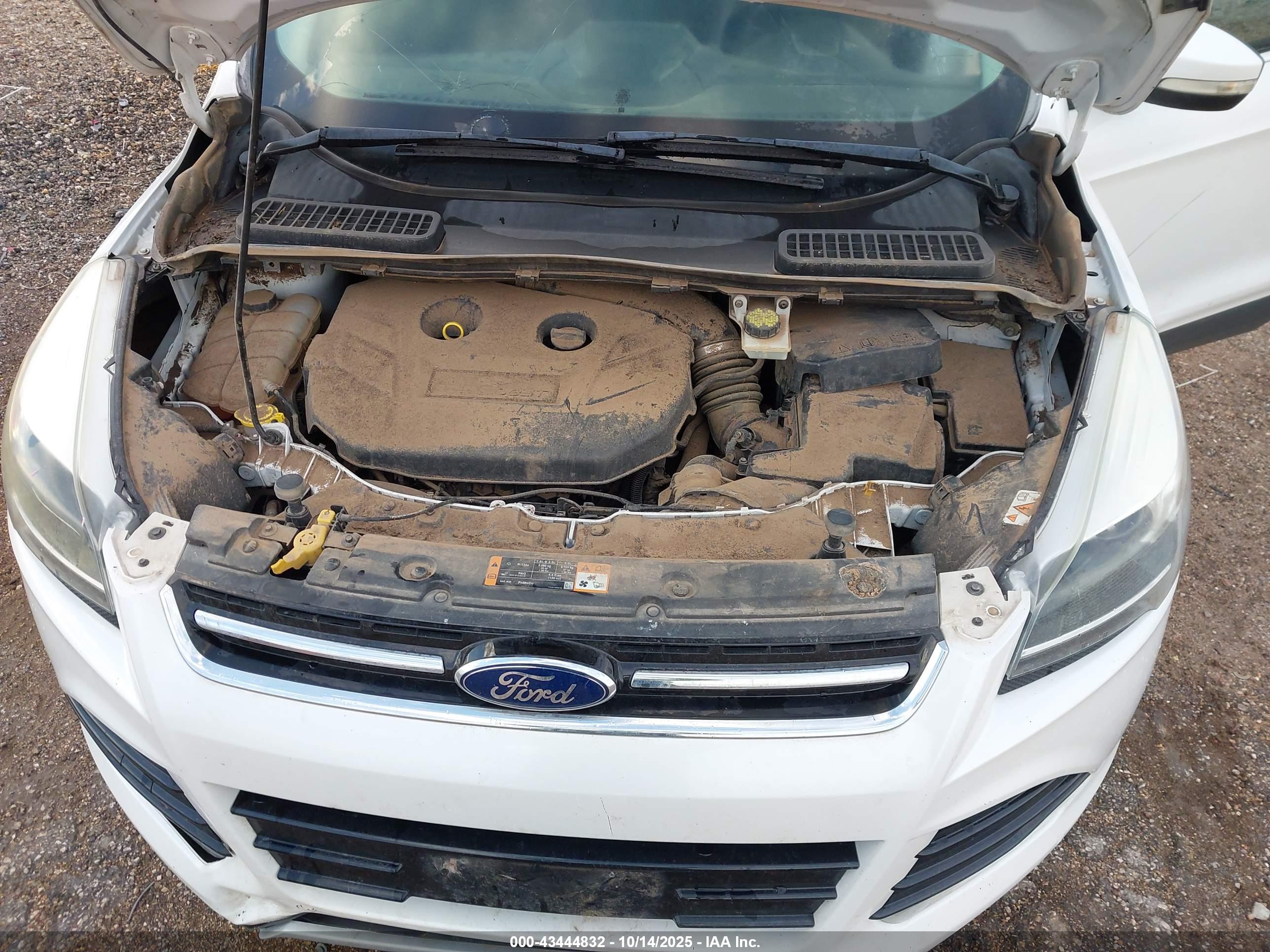 FORD ESCAPE image 10