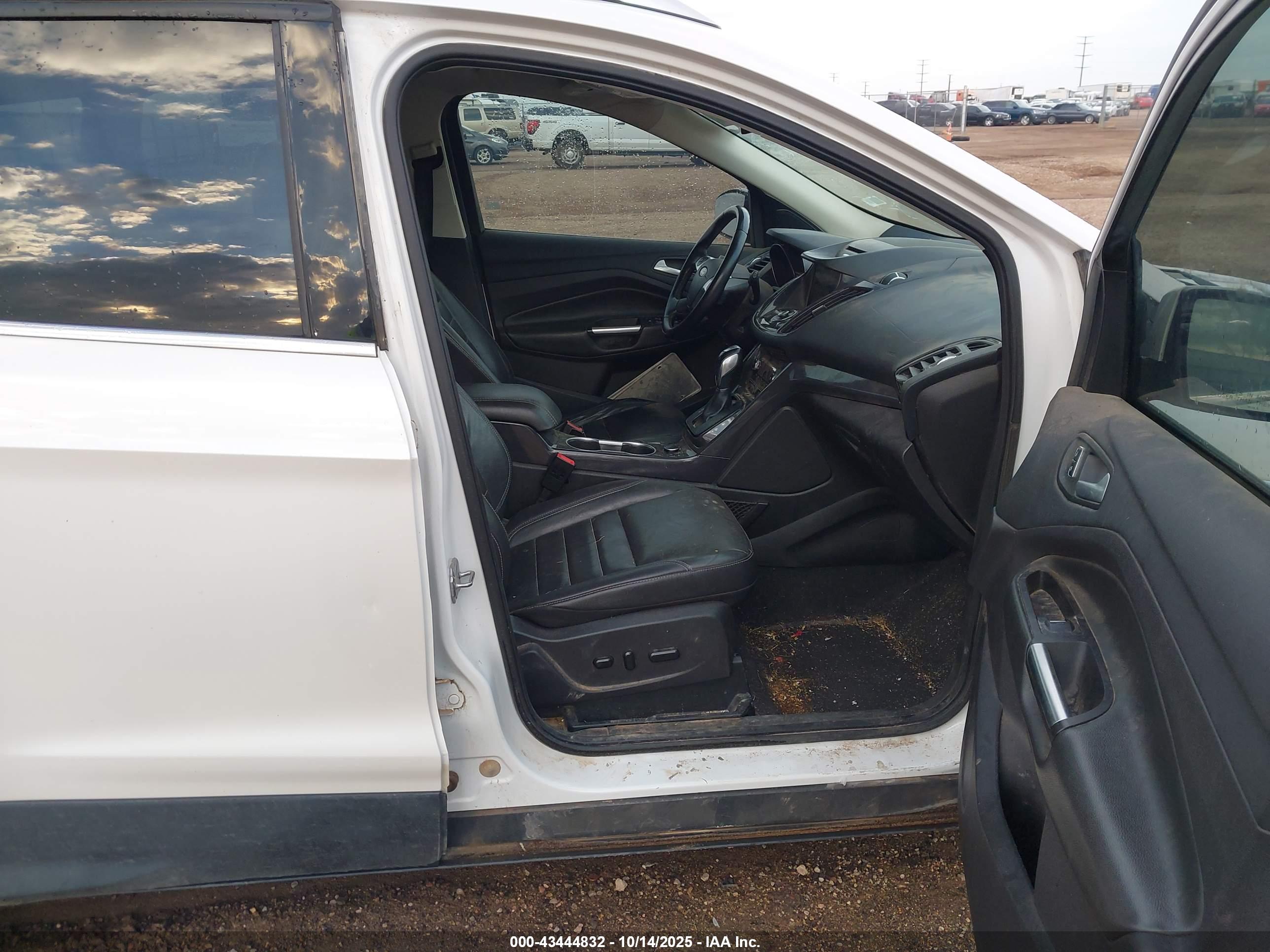 FORD ESCAPE image 5