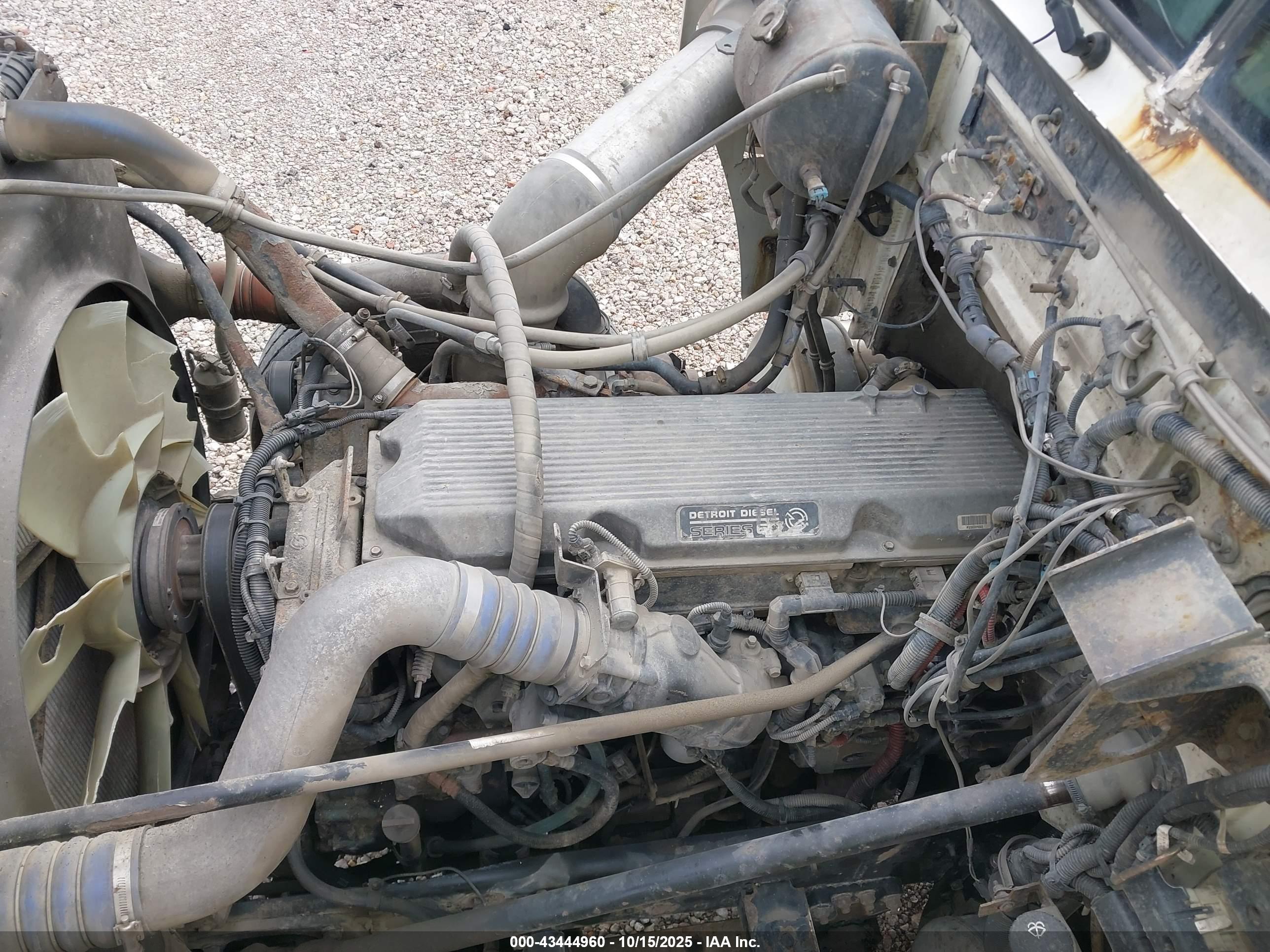 WESTERN STAR/AUTO image 10