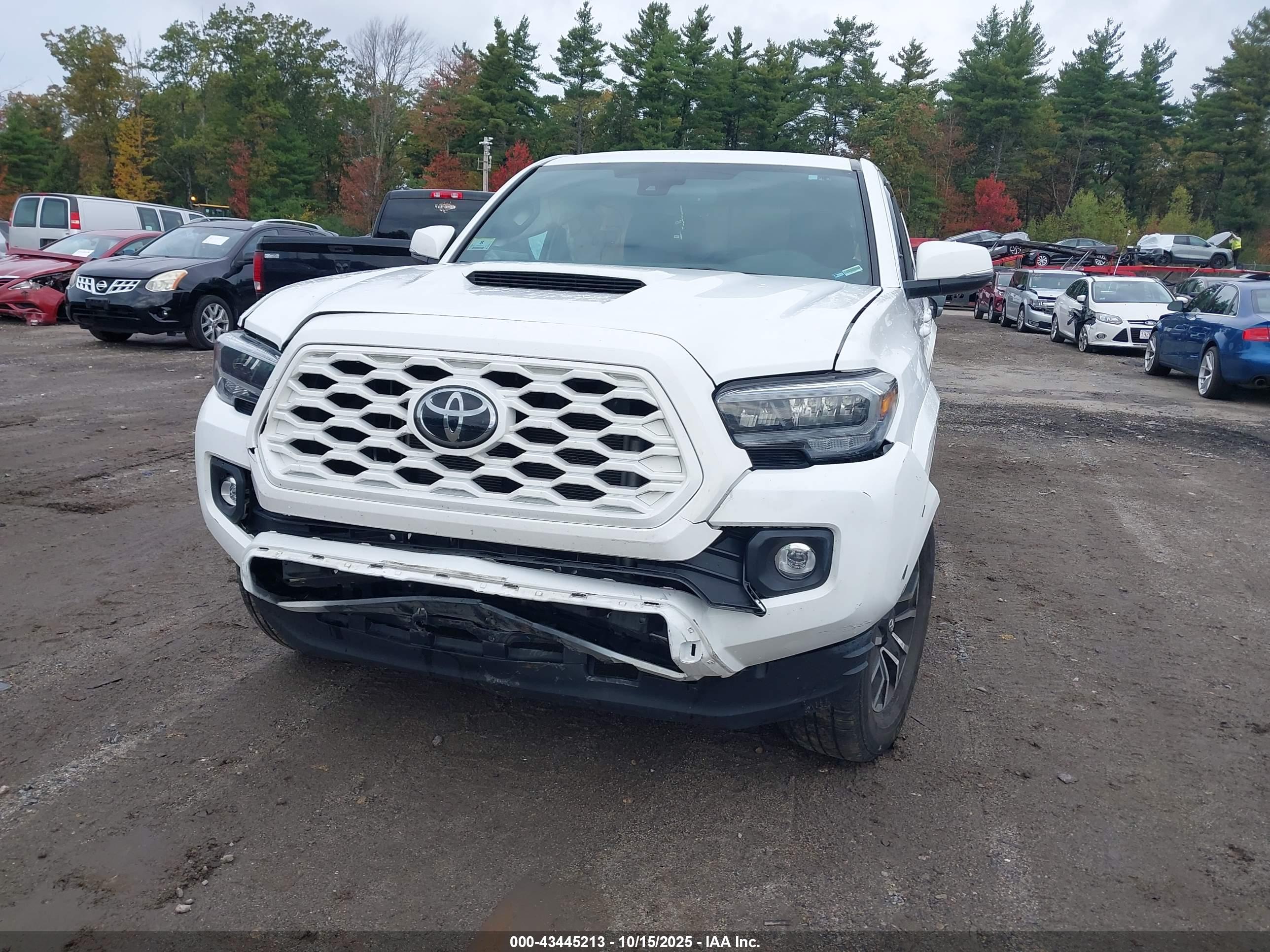 TOYOTA TACOMA image 6