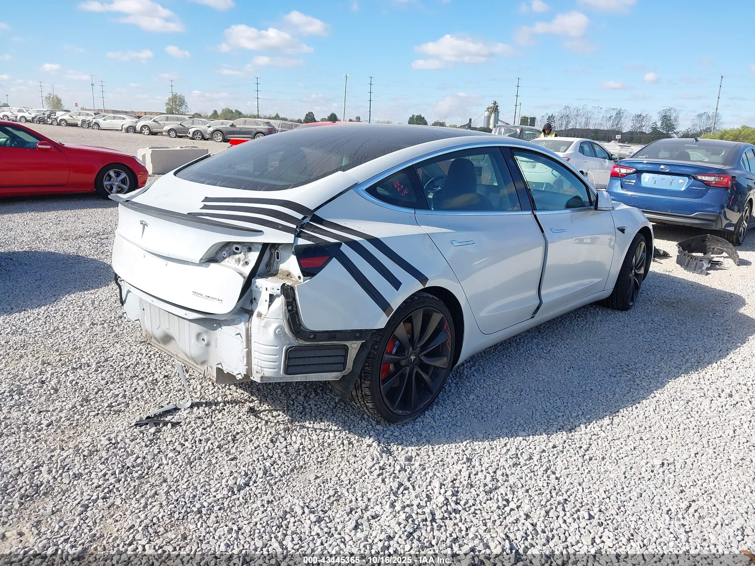 TESLA MODEL image 4