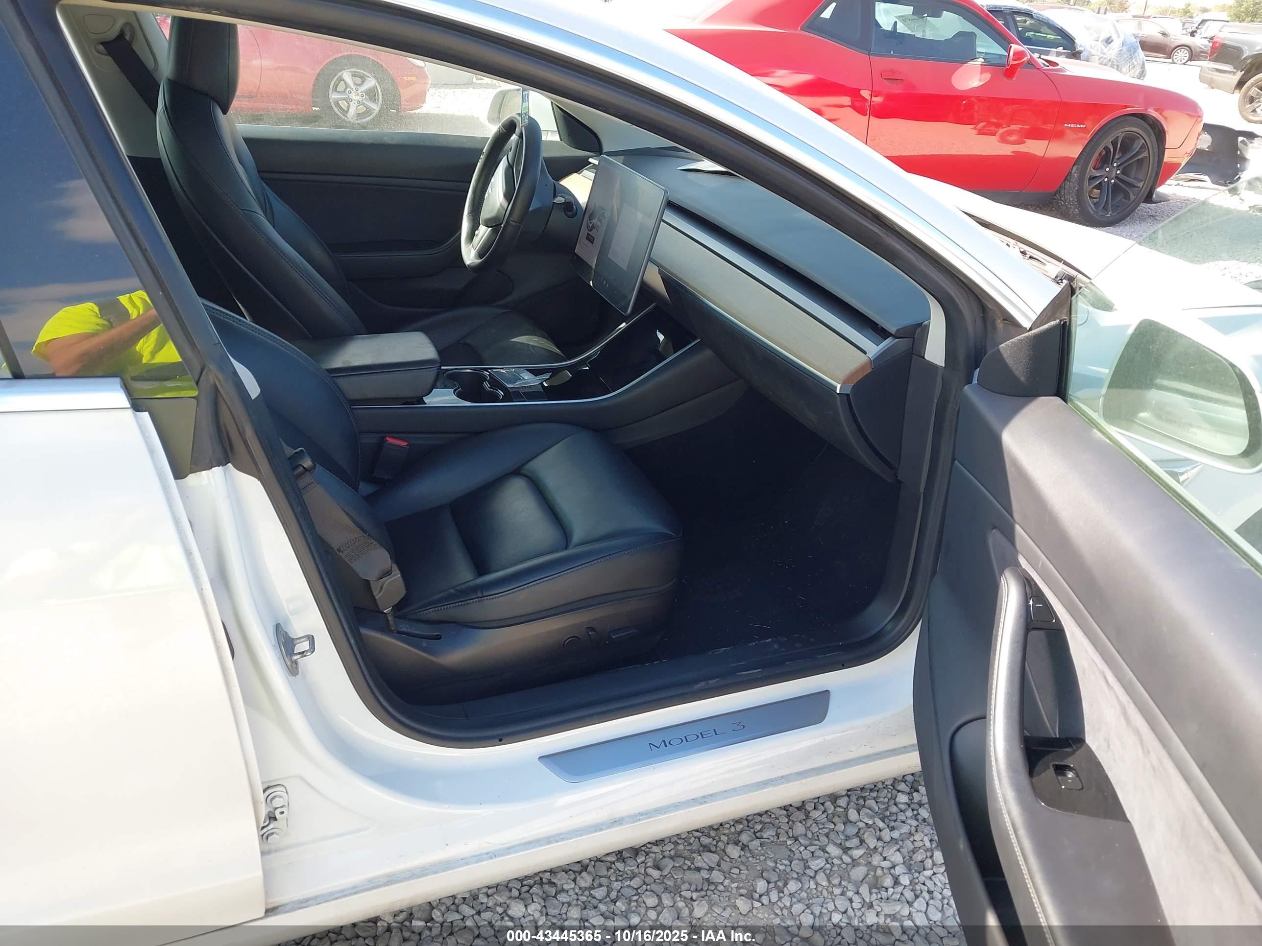 TESLA MODEL image 5