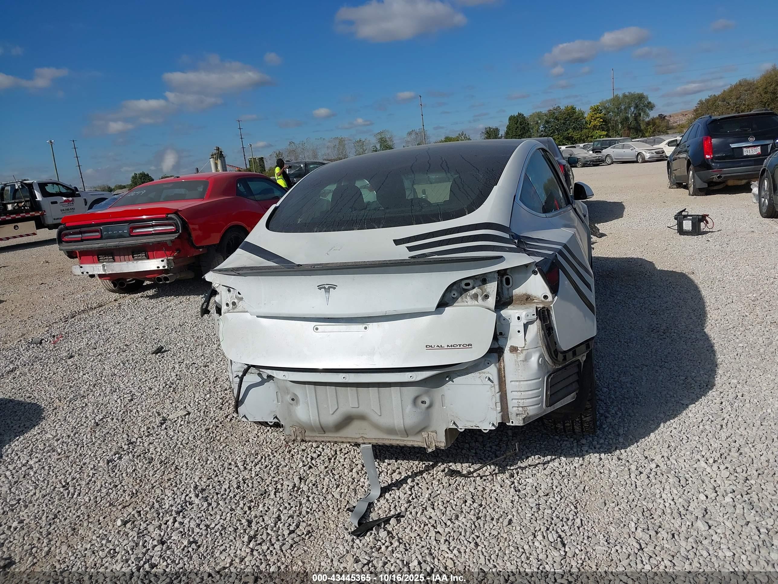 TESLA MODEL image 6