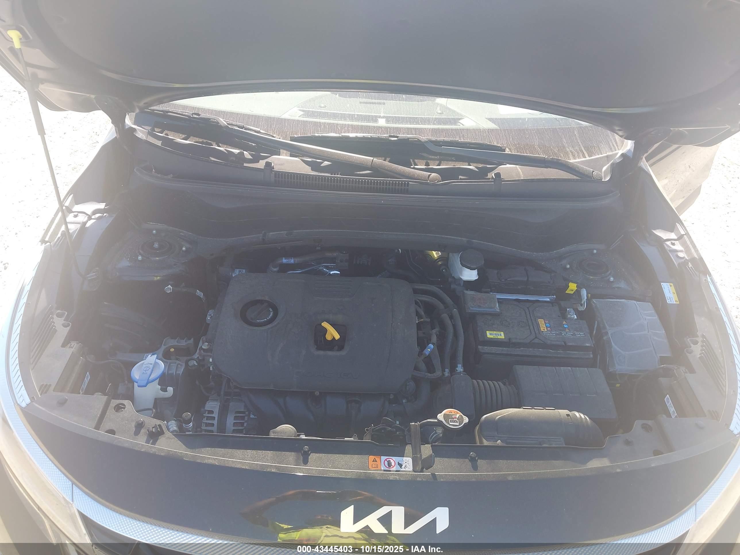 KIA SELTOS image 10