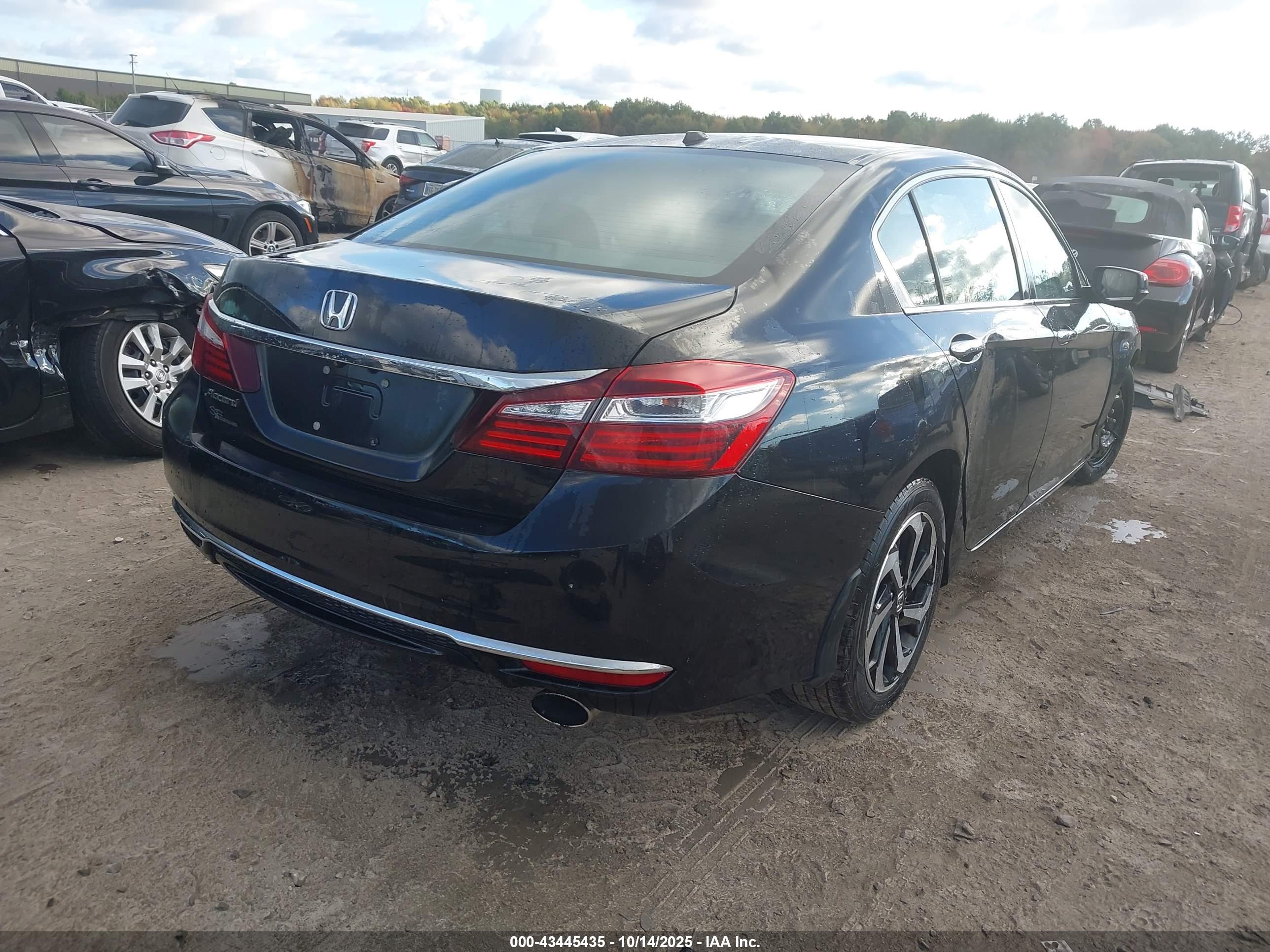 HONDA ACCORD image 4