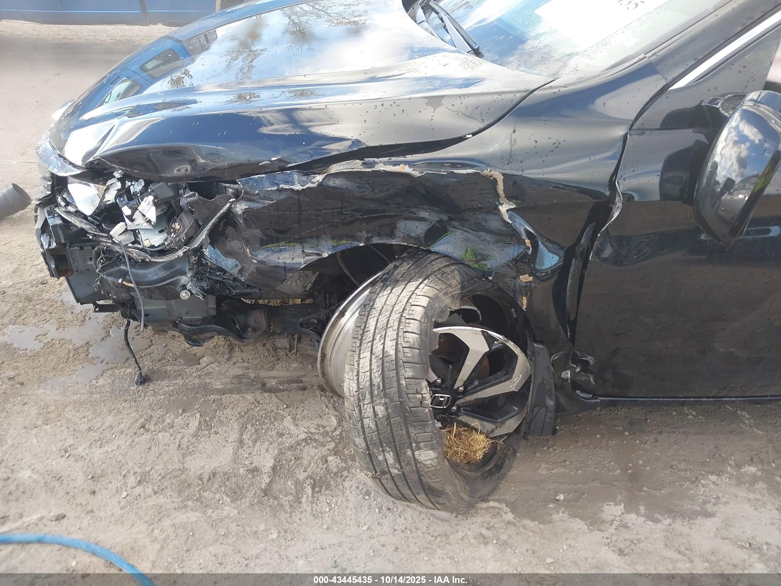 HONDA ACCORD image 6