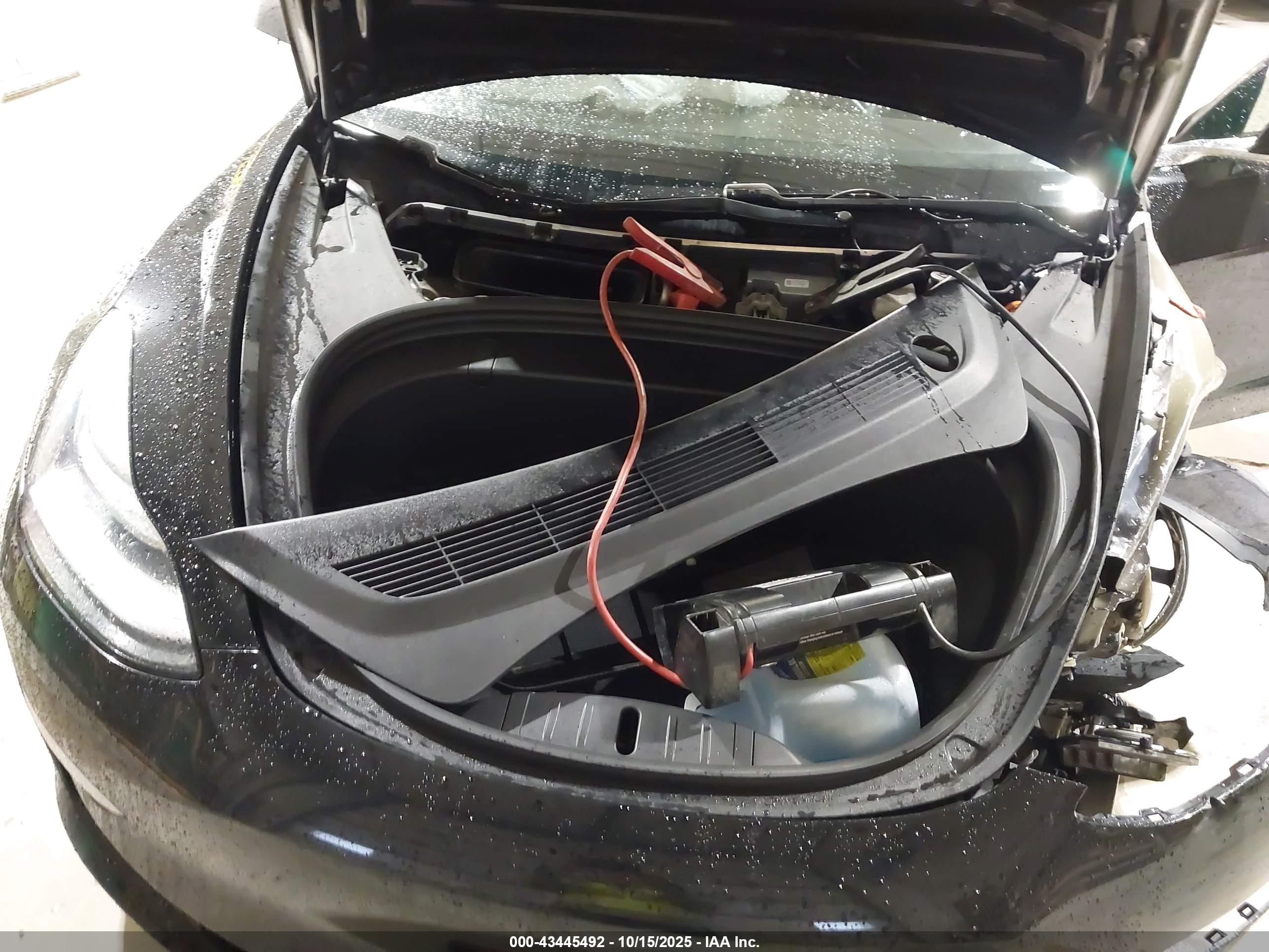TESLA MODEL image 10