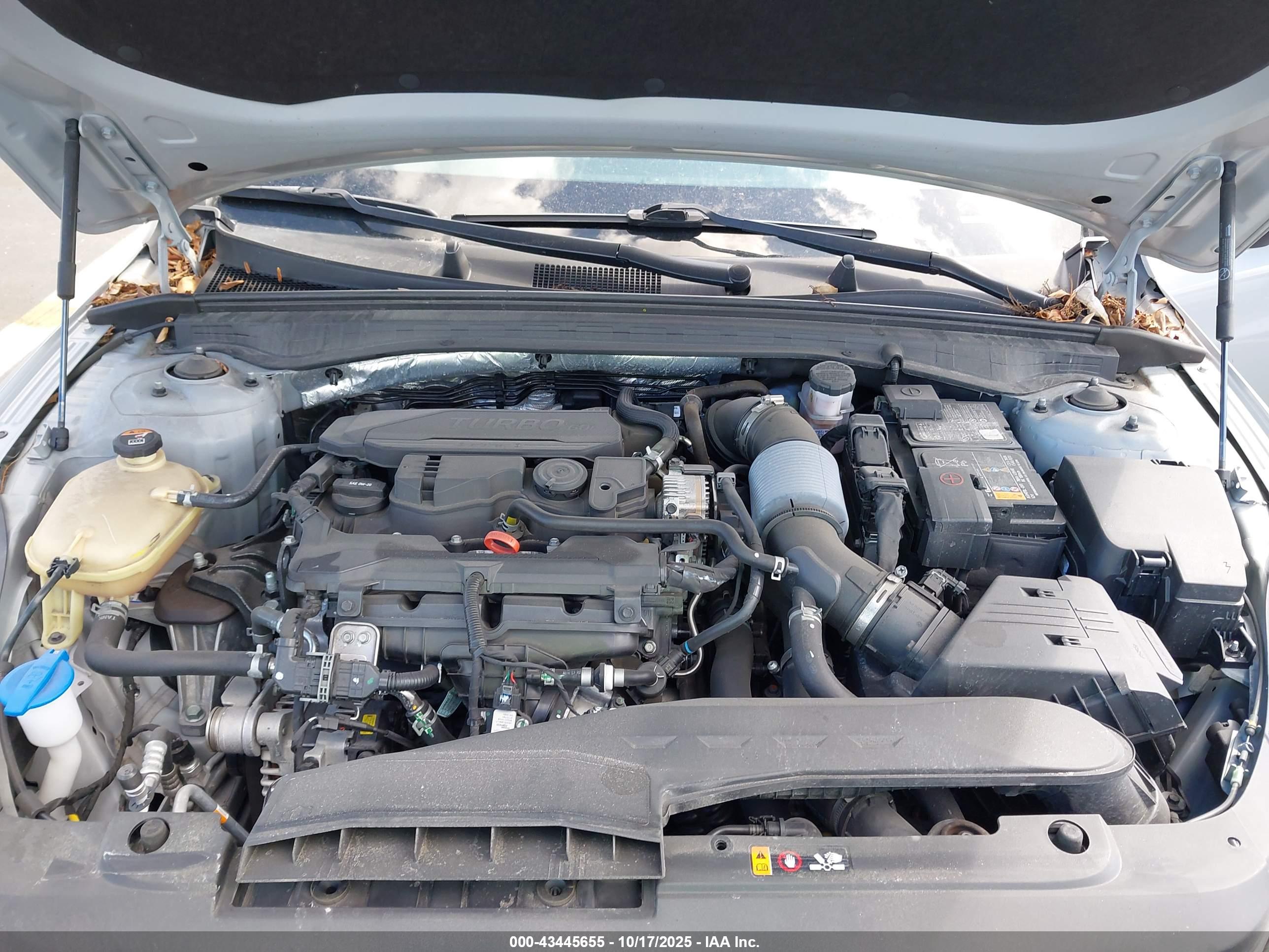 KIA K5 image 10