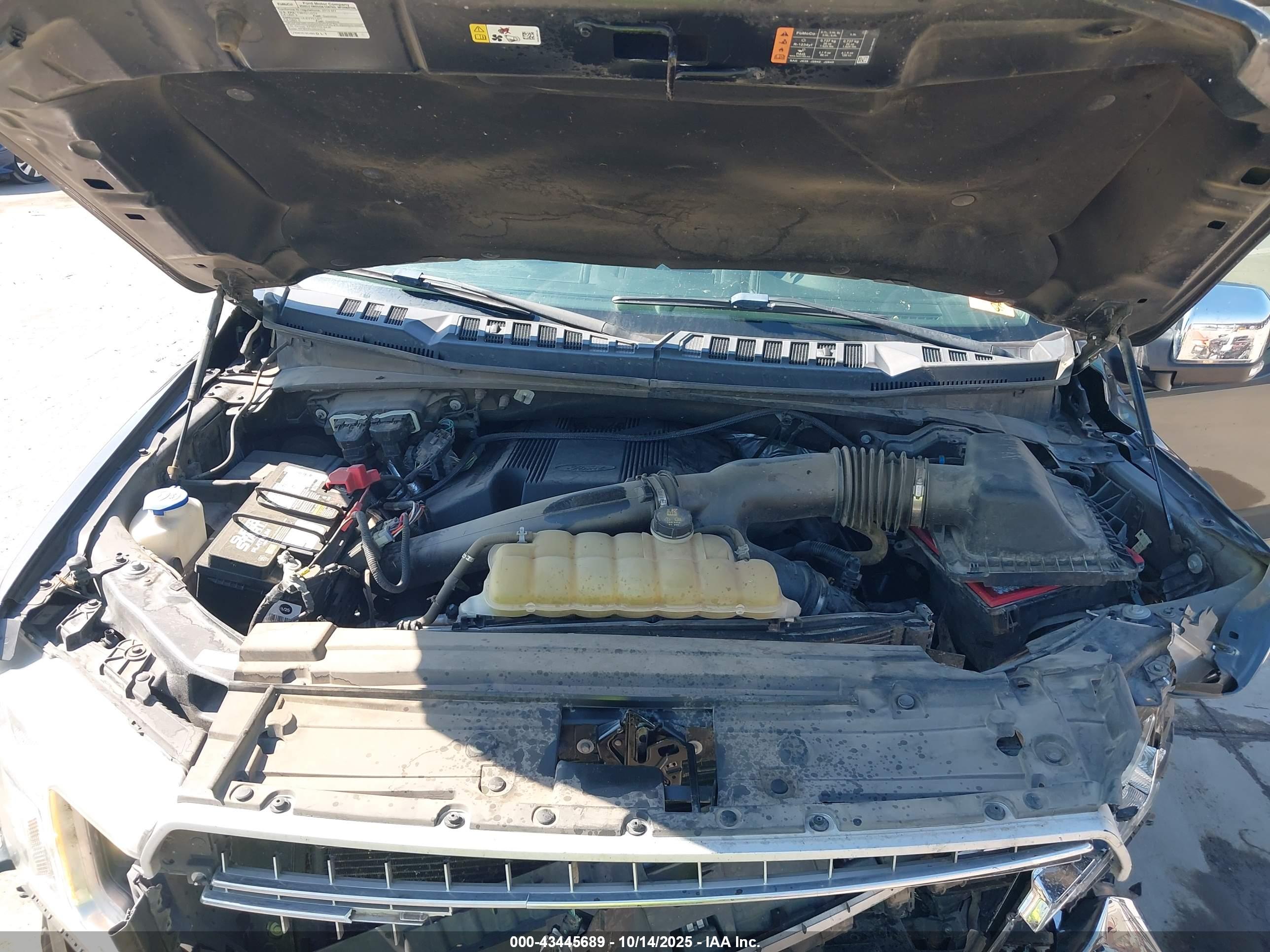 FORD F-150 image 10