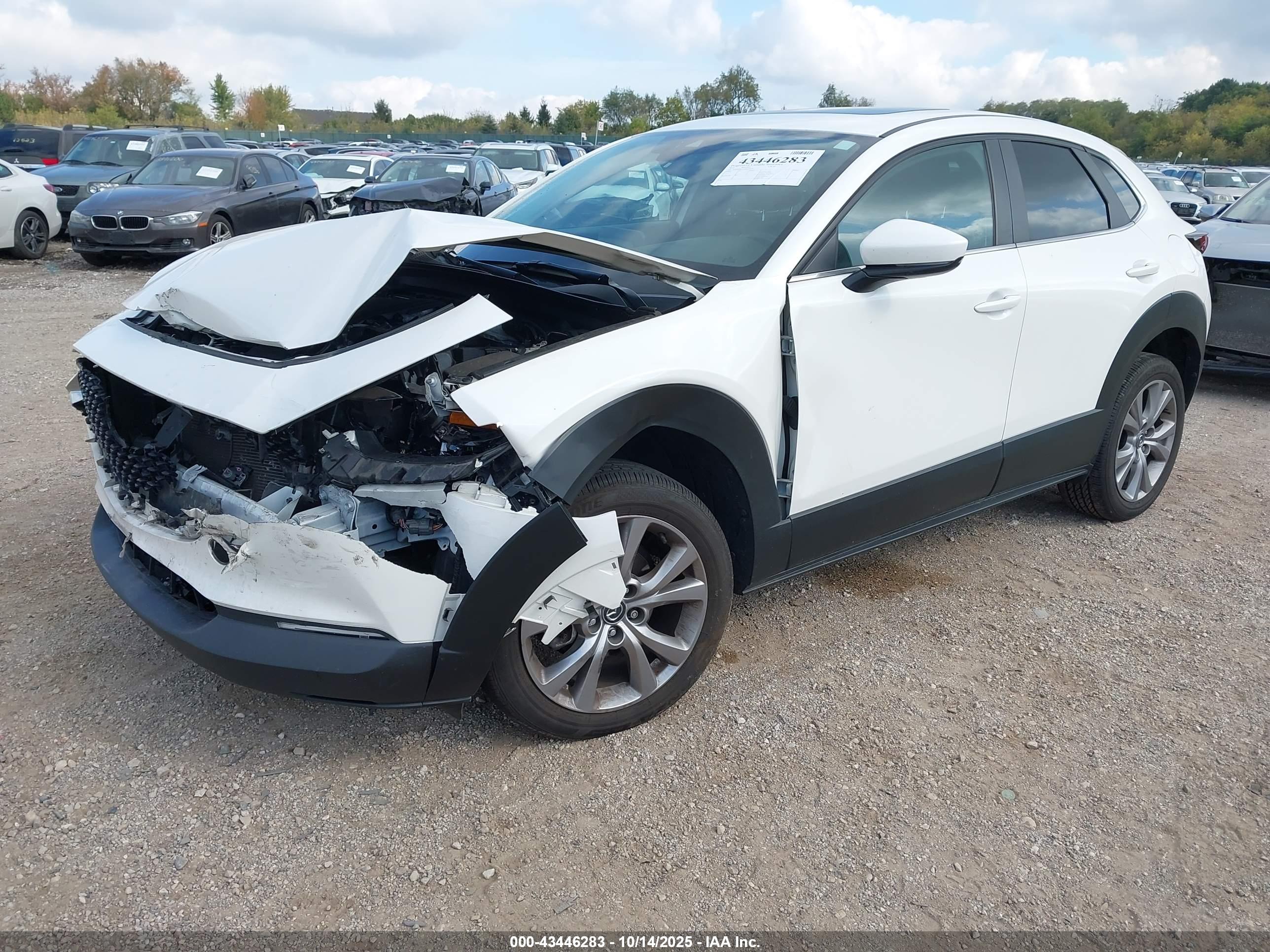 MAZDA CX-30 image 2
