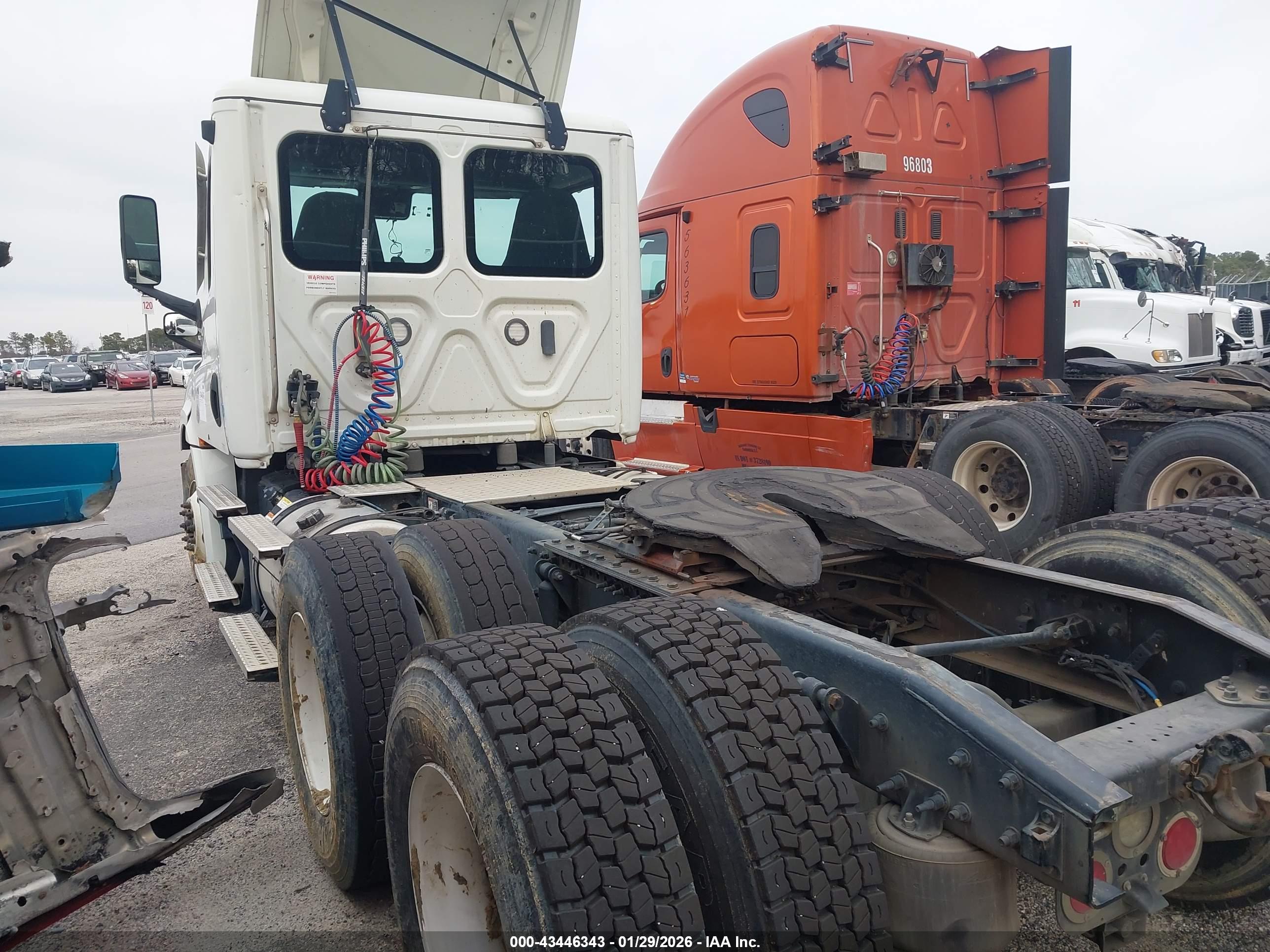 FREIGHTLINER NEW image 3
