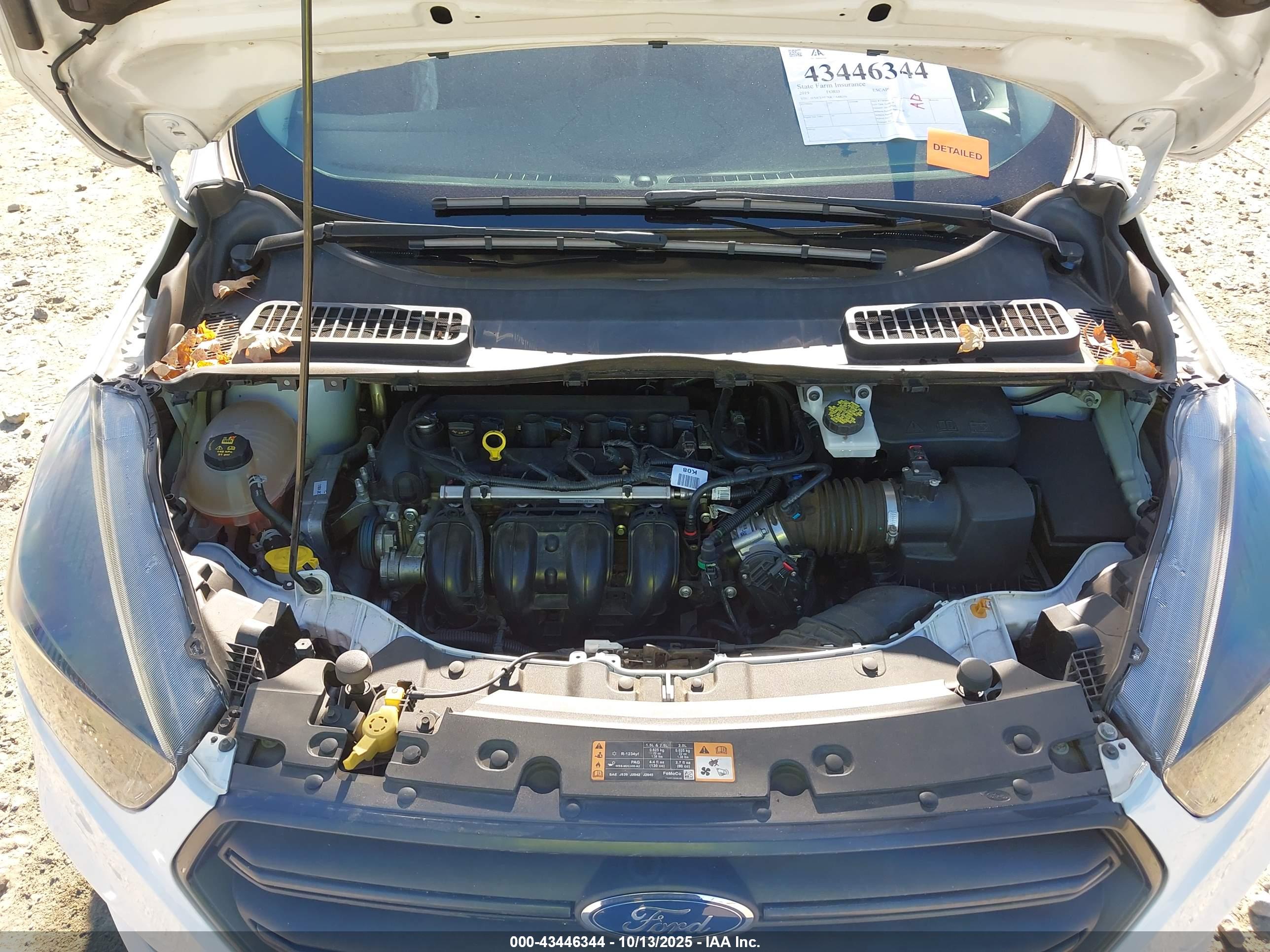 FORD ESCAPE image 10