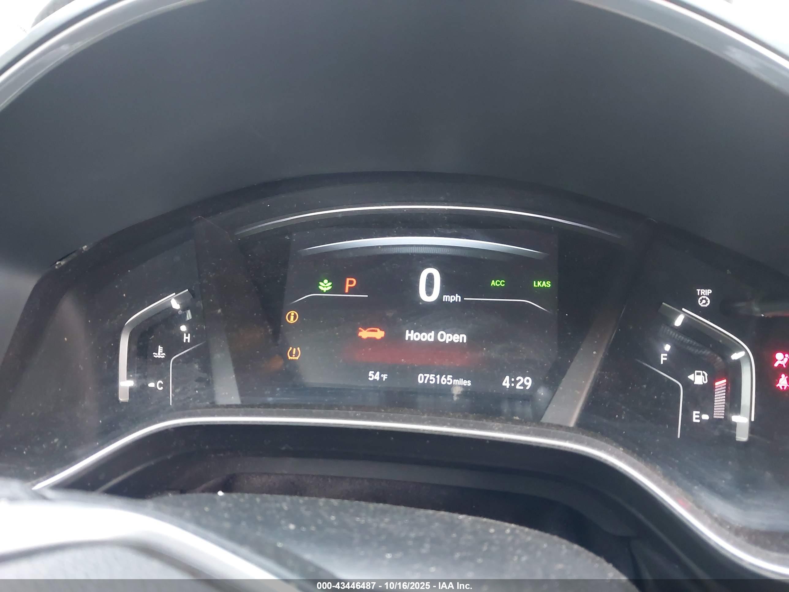 HONDA CR-V image 7