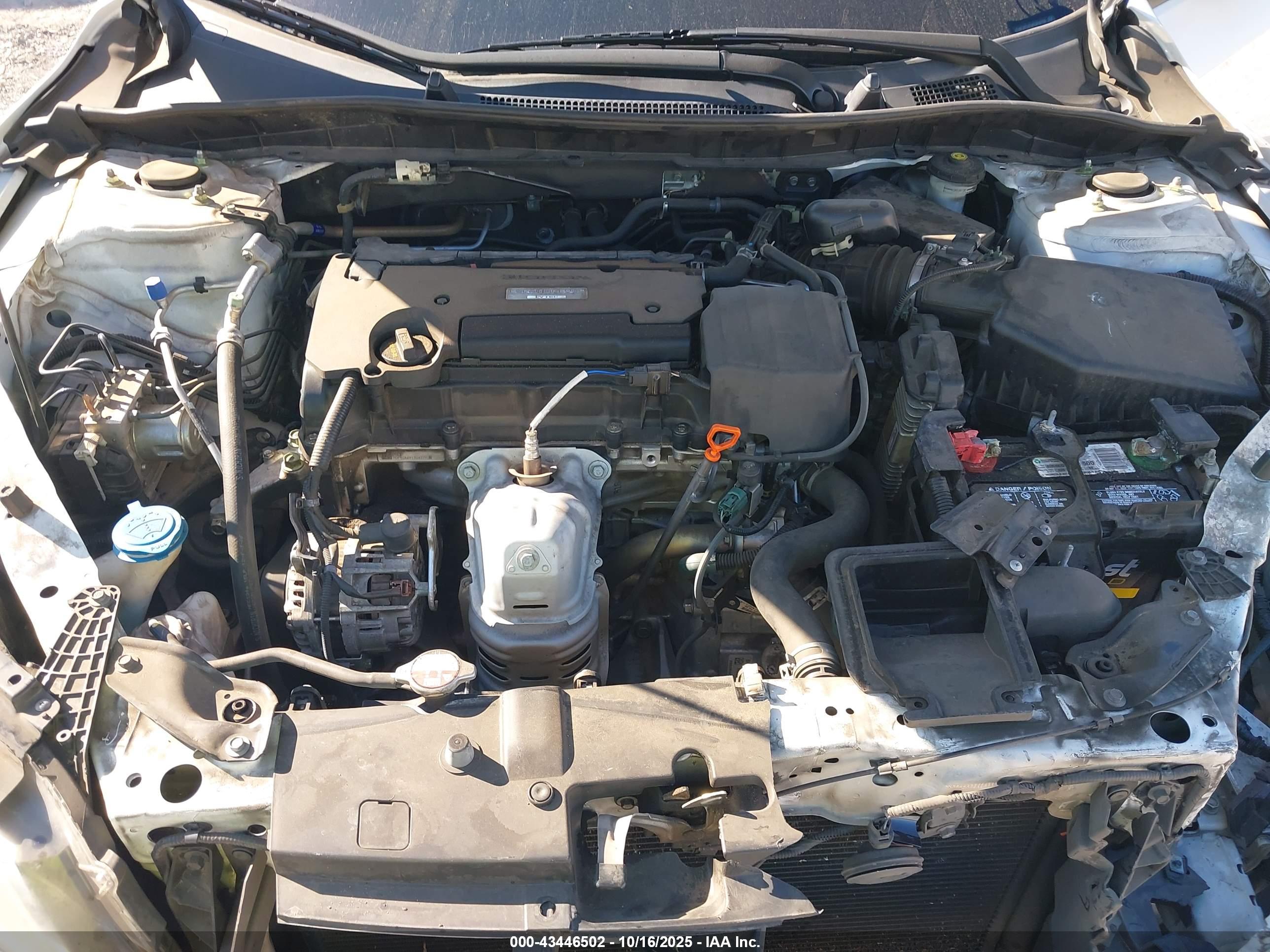 HONDA ACCORD image 10