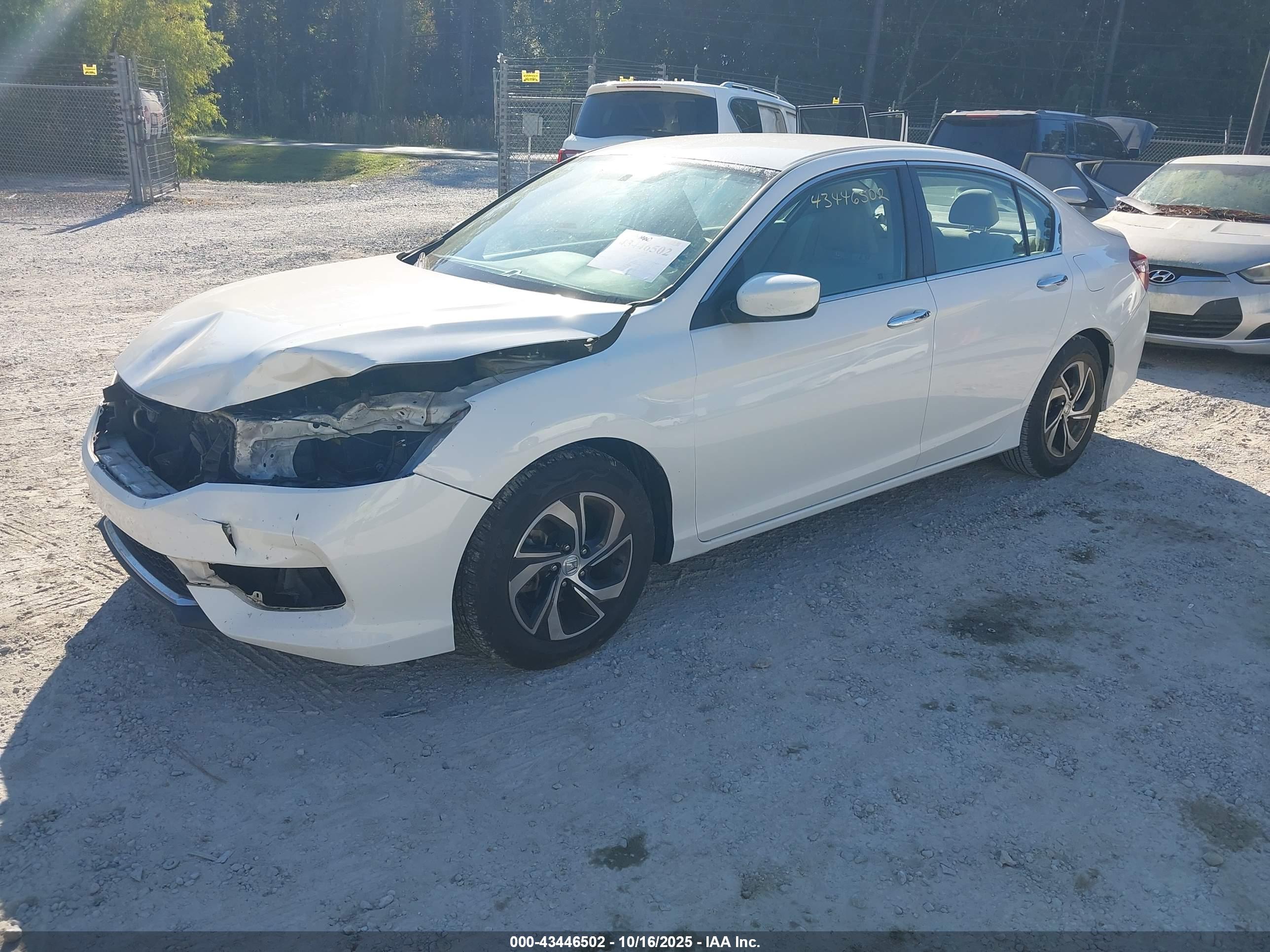 HONDA ACCORD image 2
