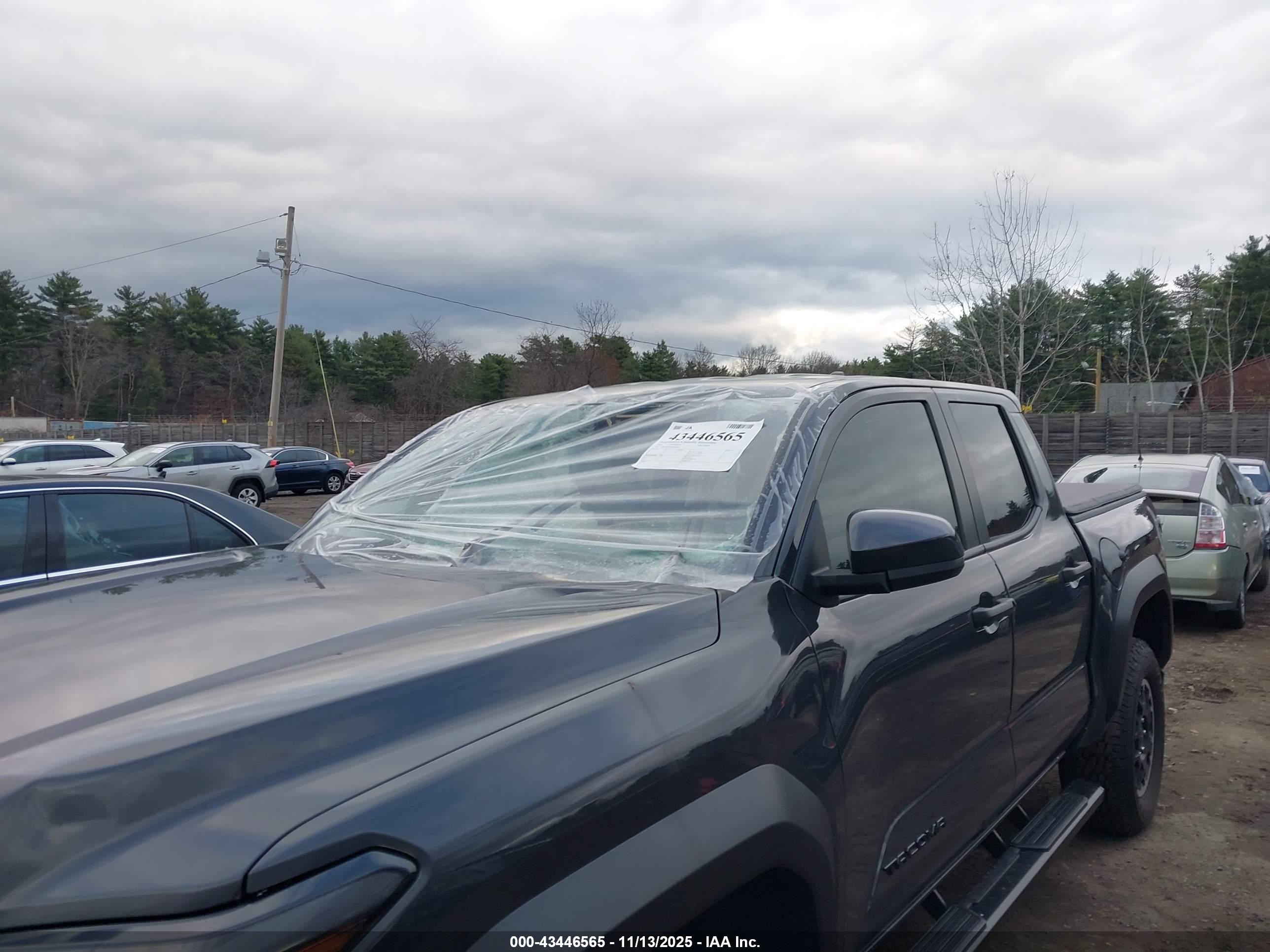 TOYOTA TACOMA image 6