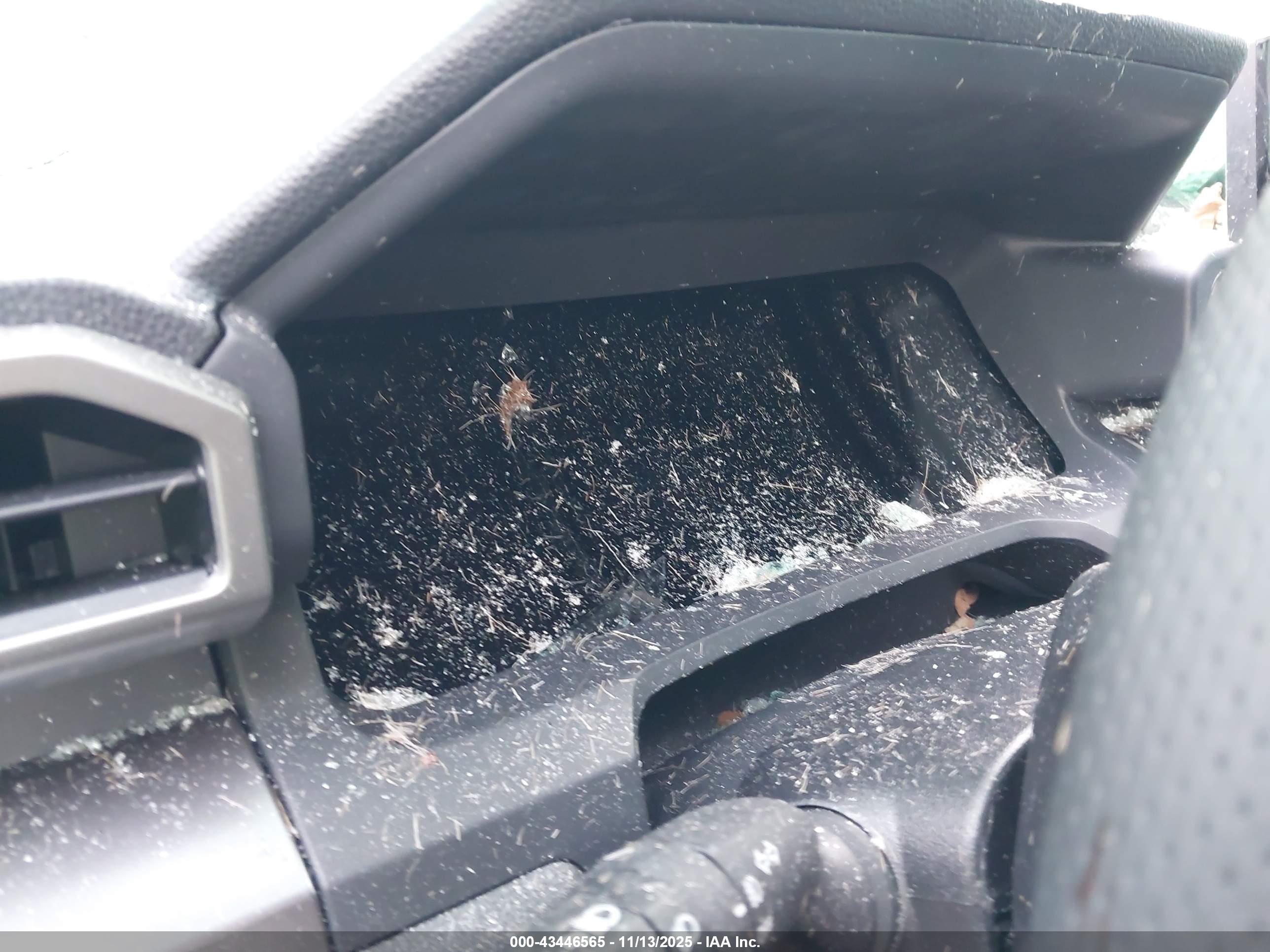 TOYOTA TACOMA image 7
