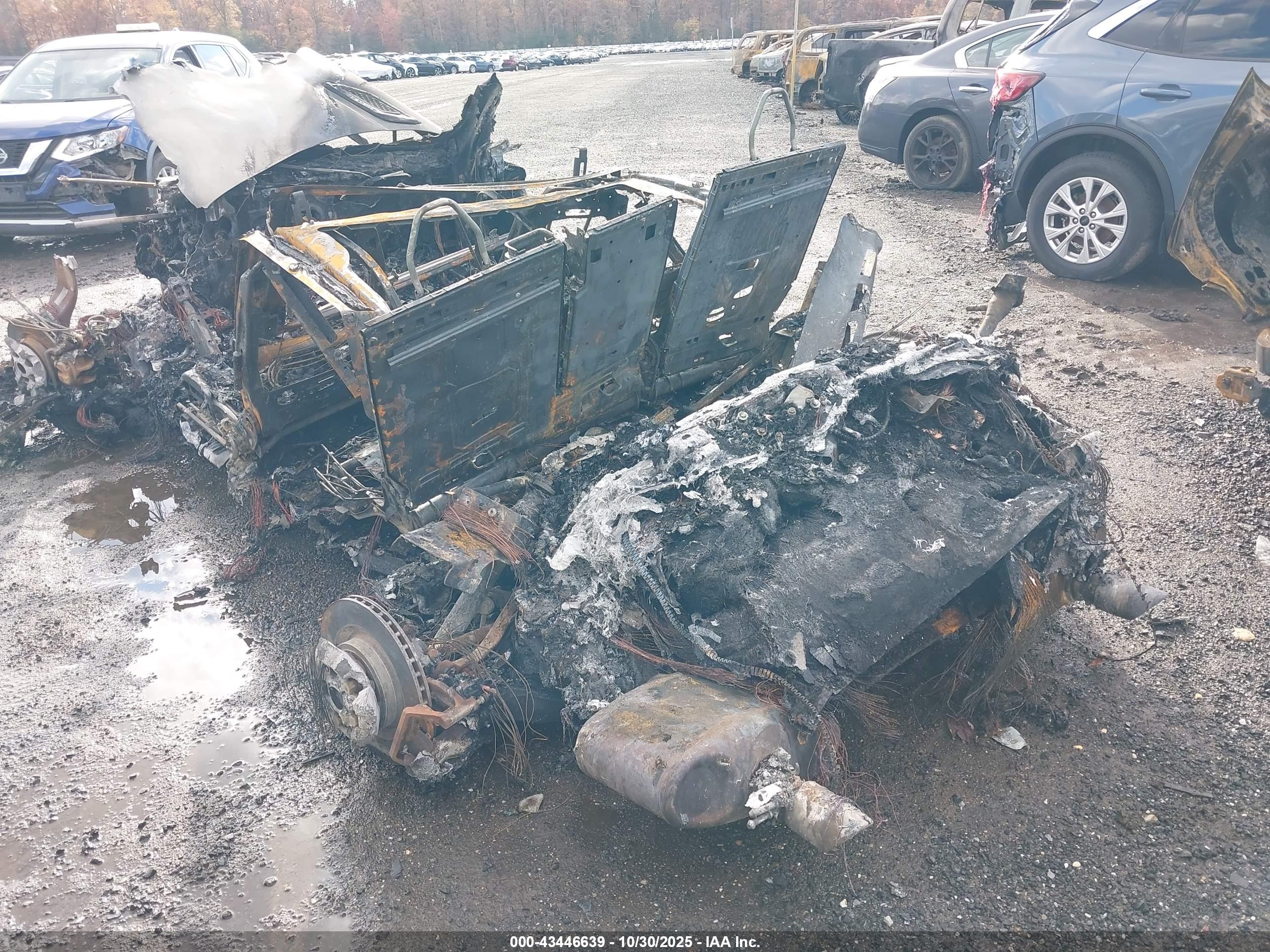 LAND ROVER image 3