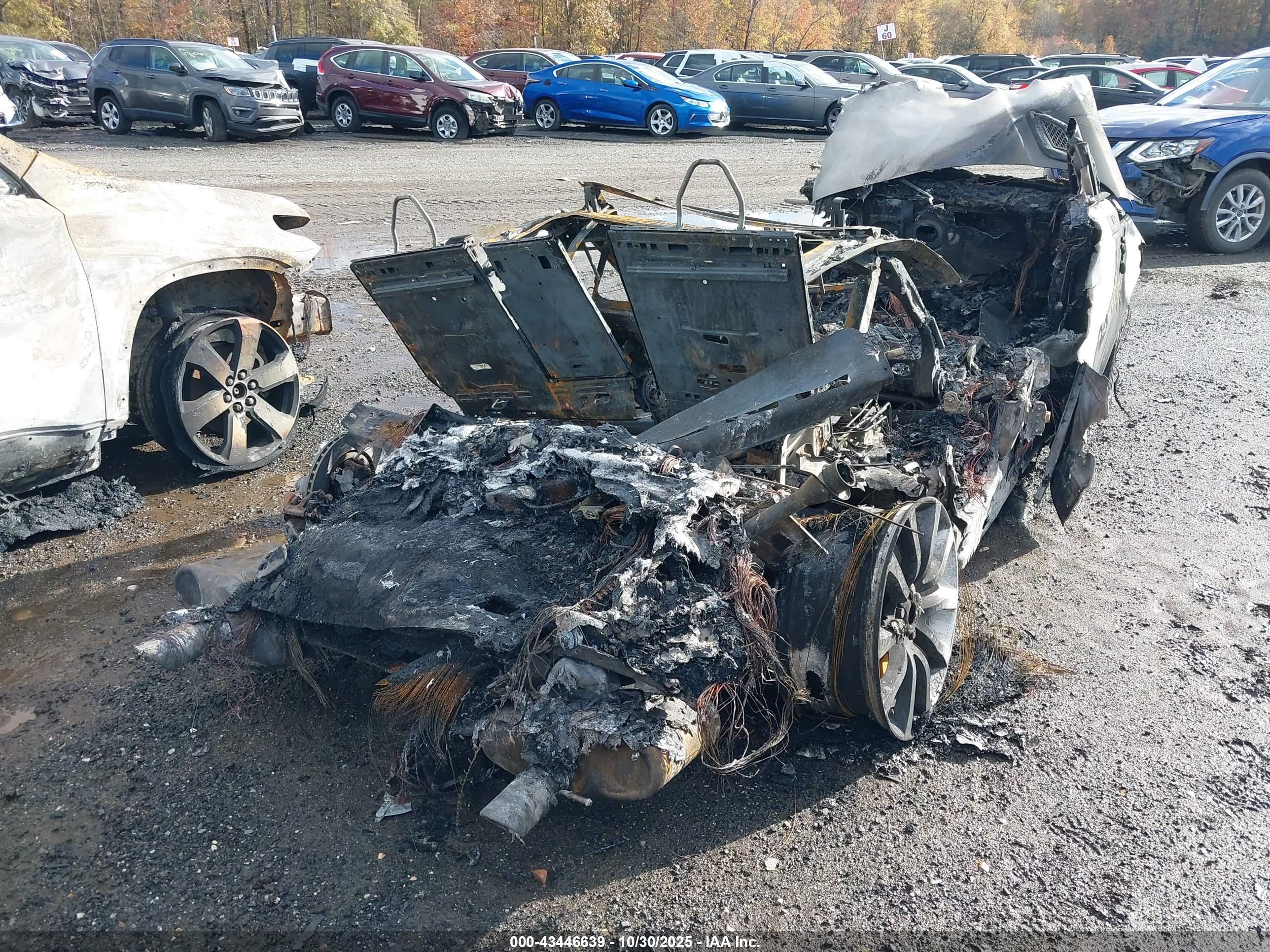 LAND ROVER image 4