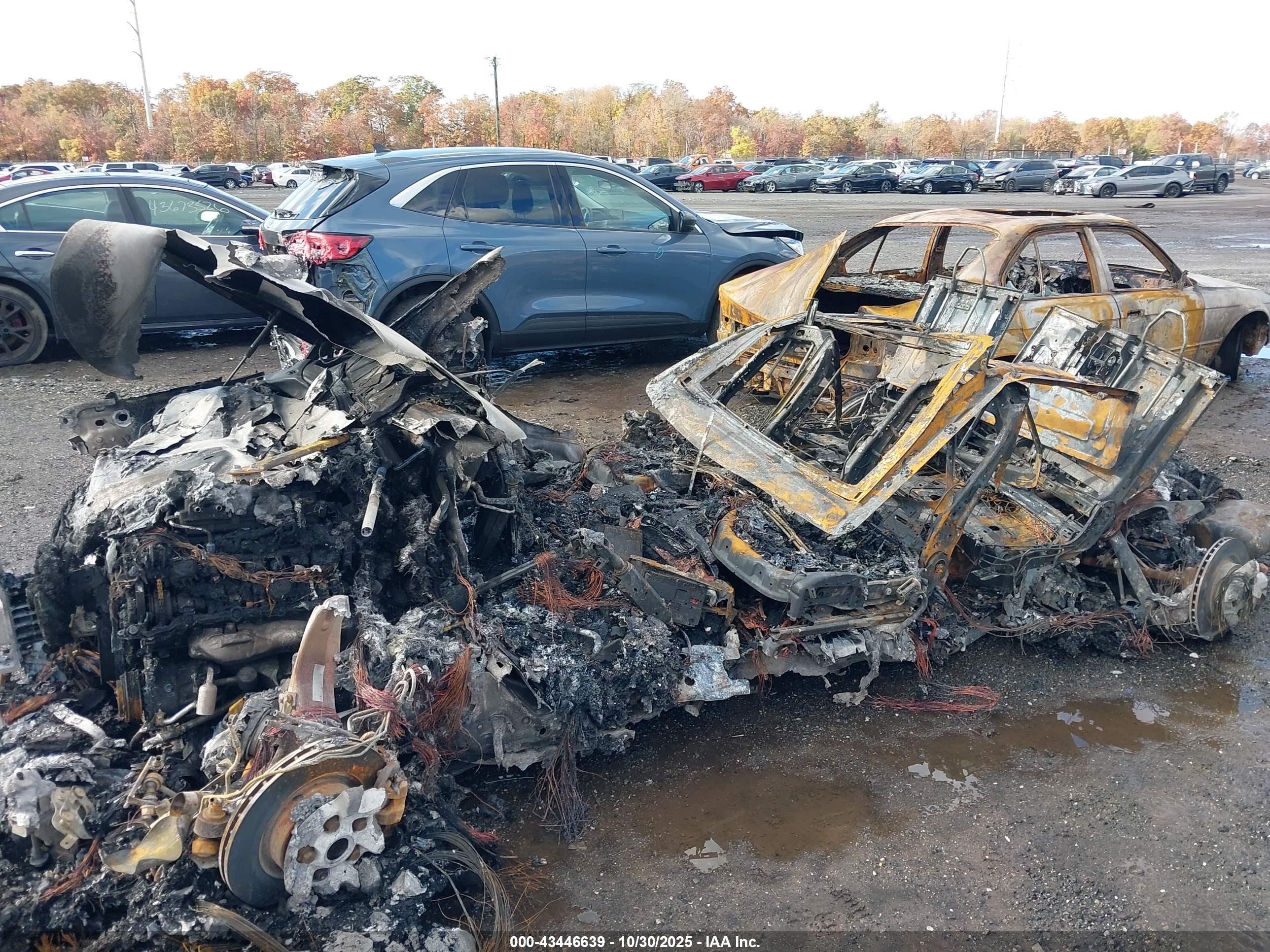 LAND ROVER image 6