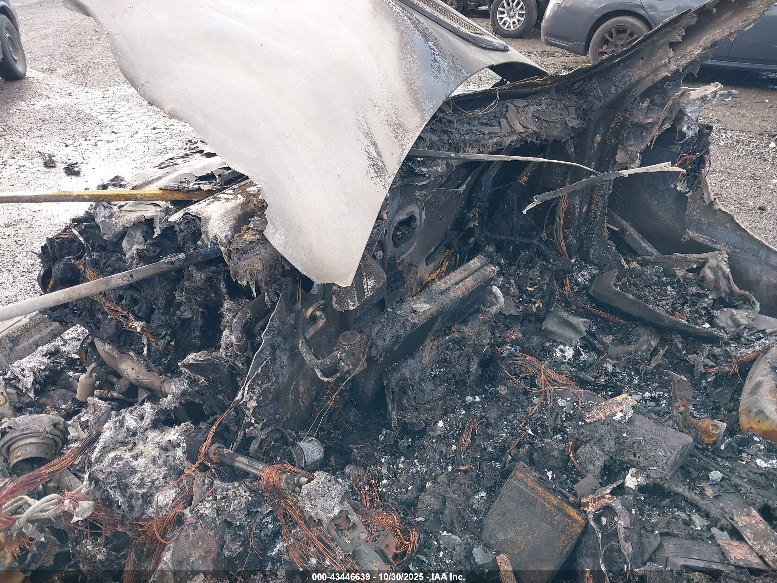 LAND ROVER image 7