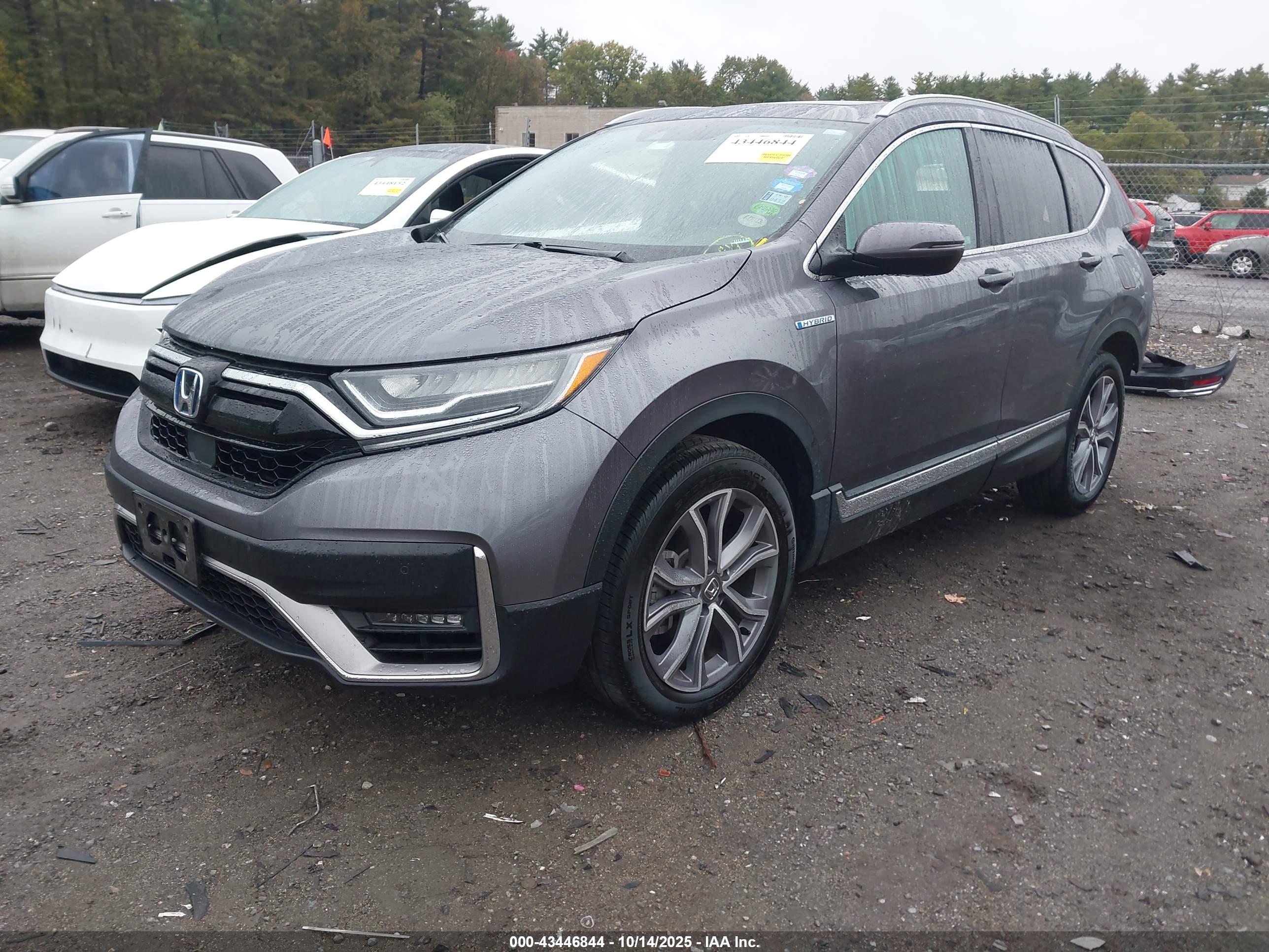 HONDA CR-V image 2