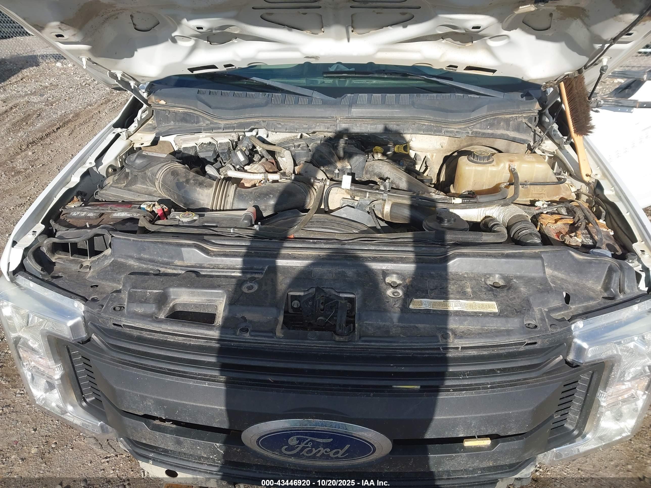 FORD F-250 image 10