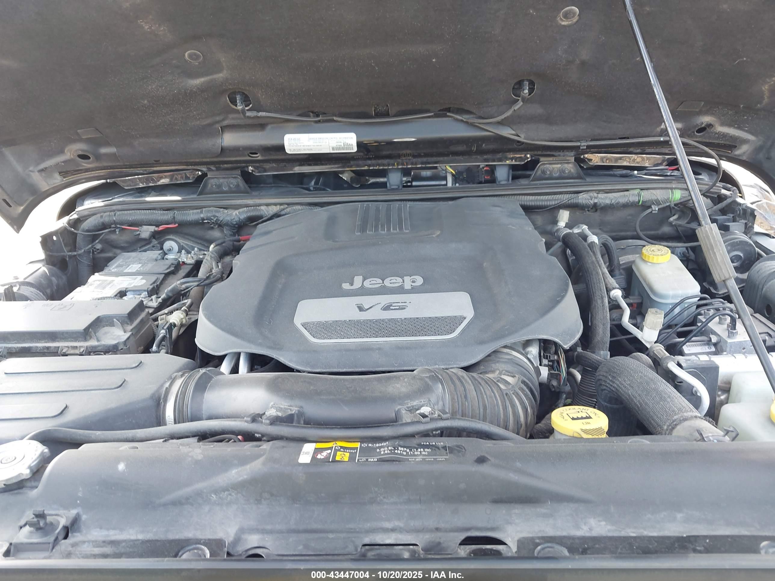 JEEP WRANGLER image 10