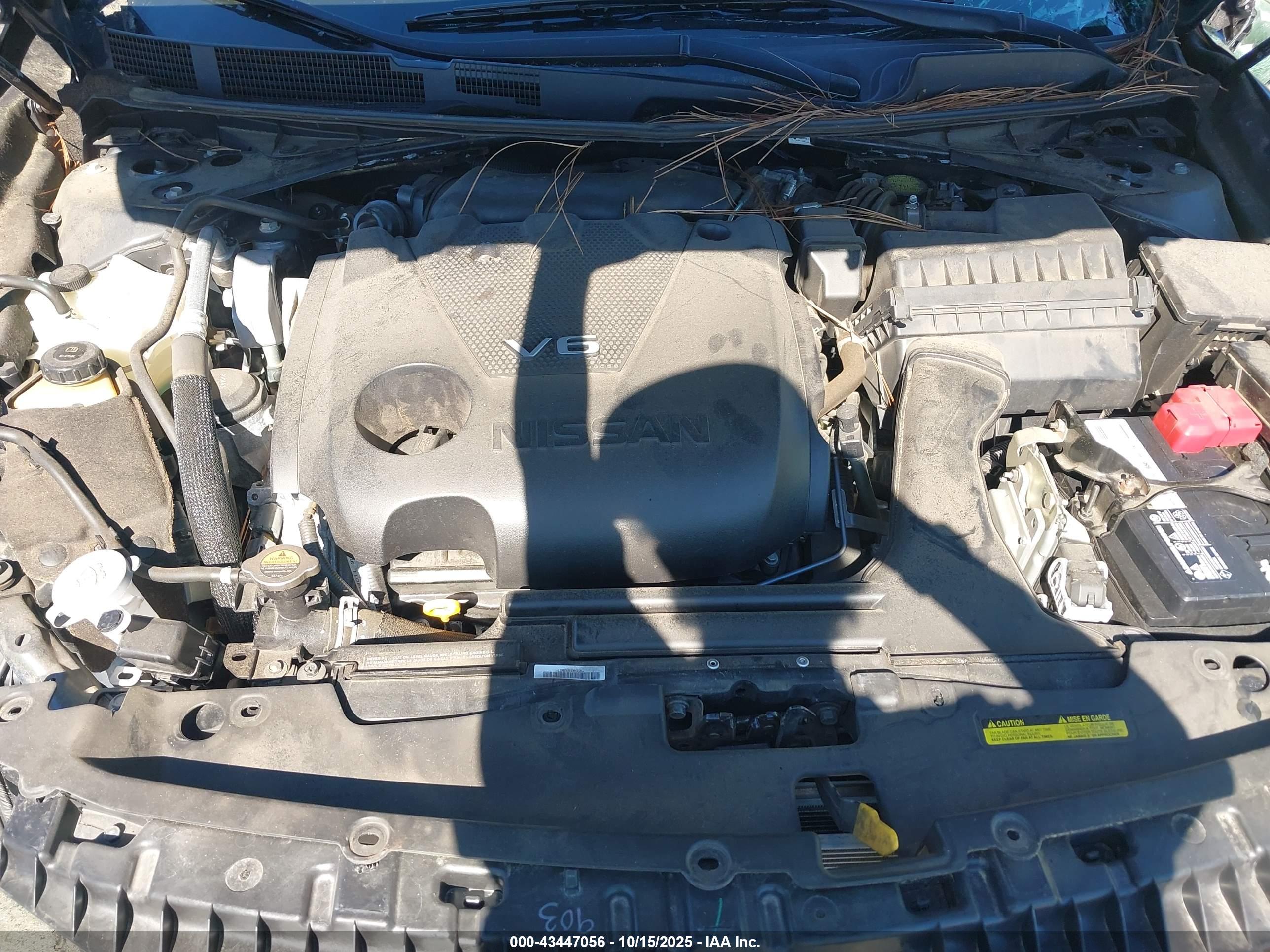 NISSAN MAXIMA image 10