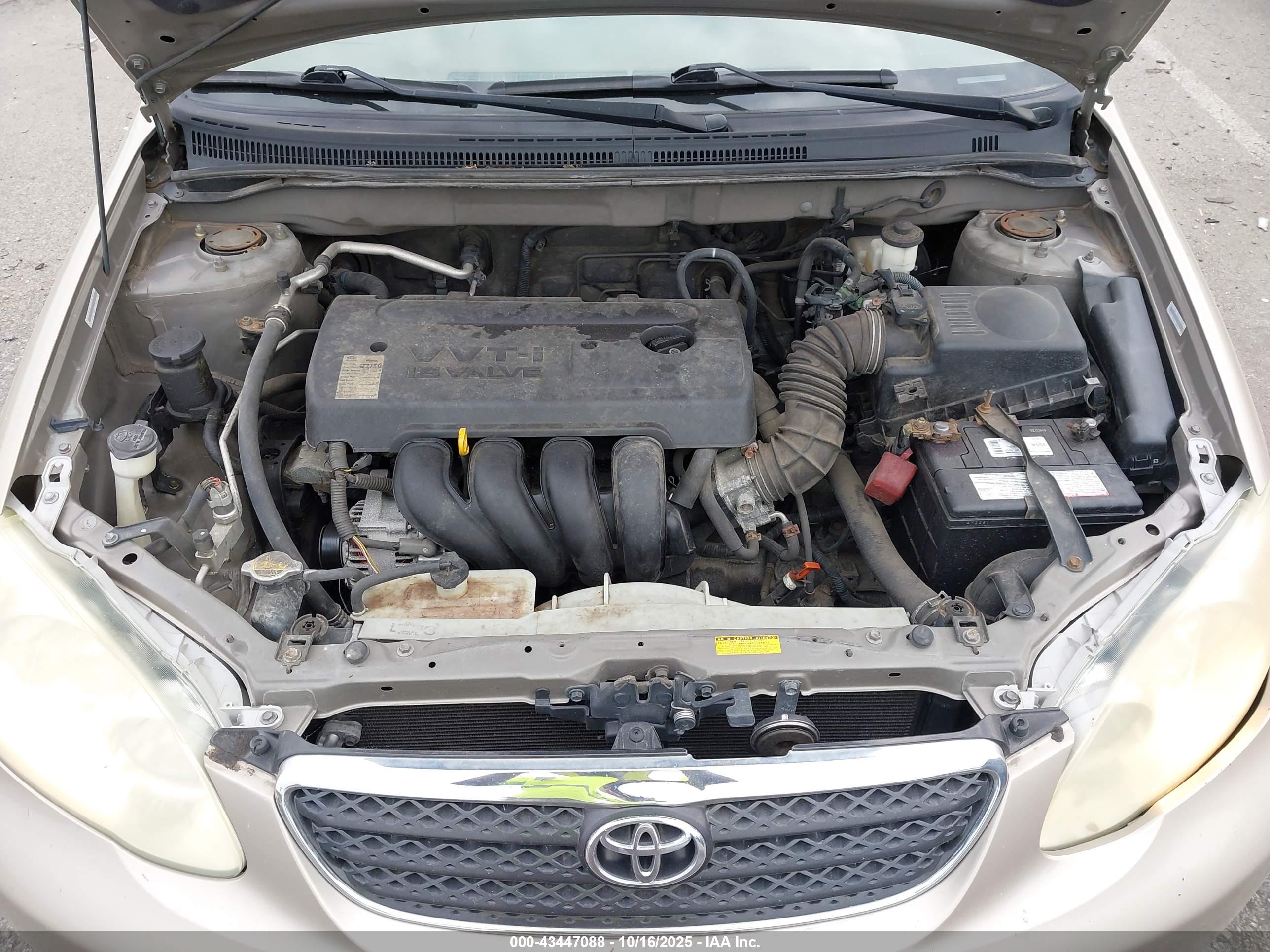 TOYOTA COROLLA image 10
