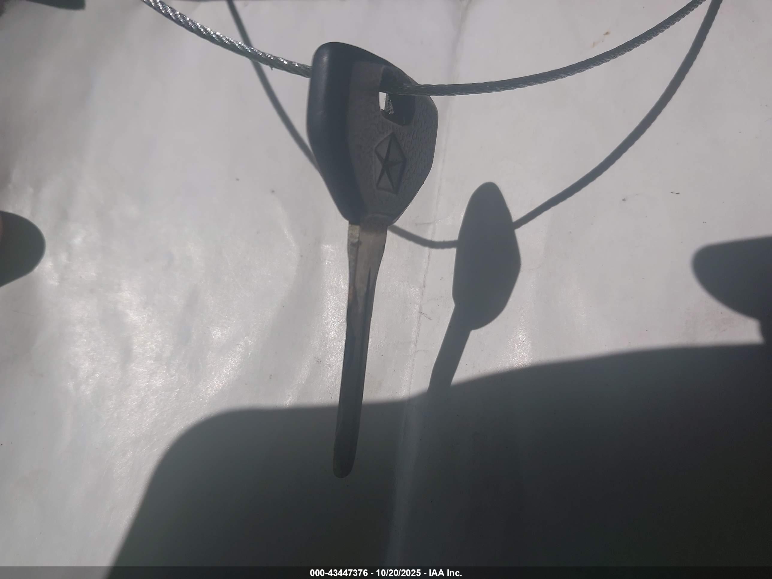 EAGLE VISION image 11