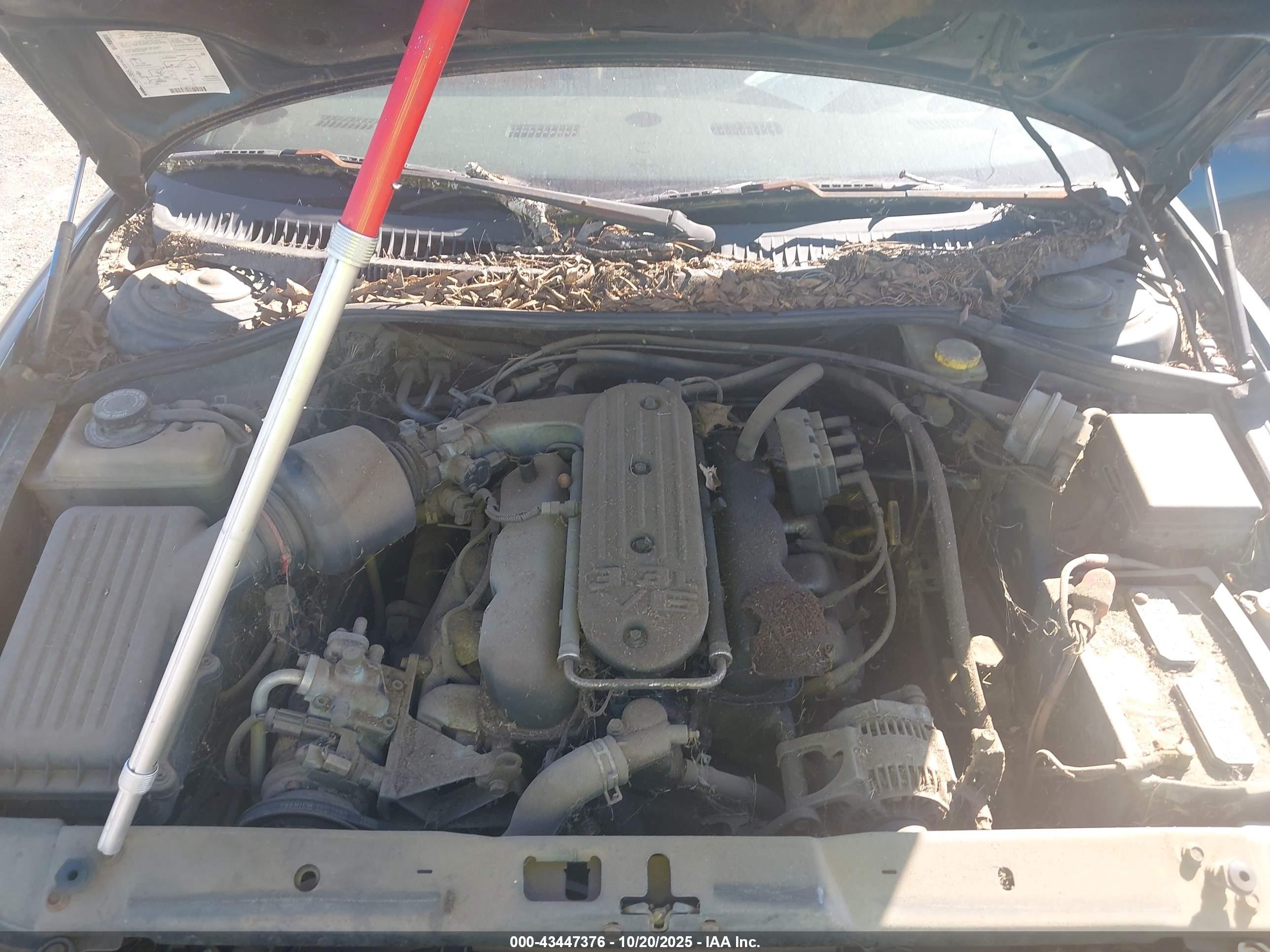 EAGLE VISION image 6