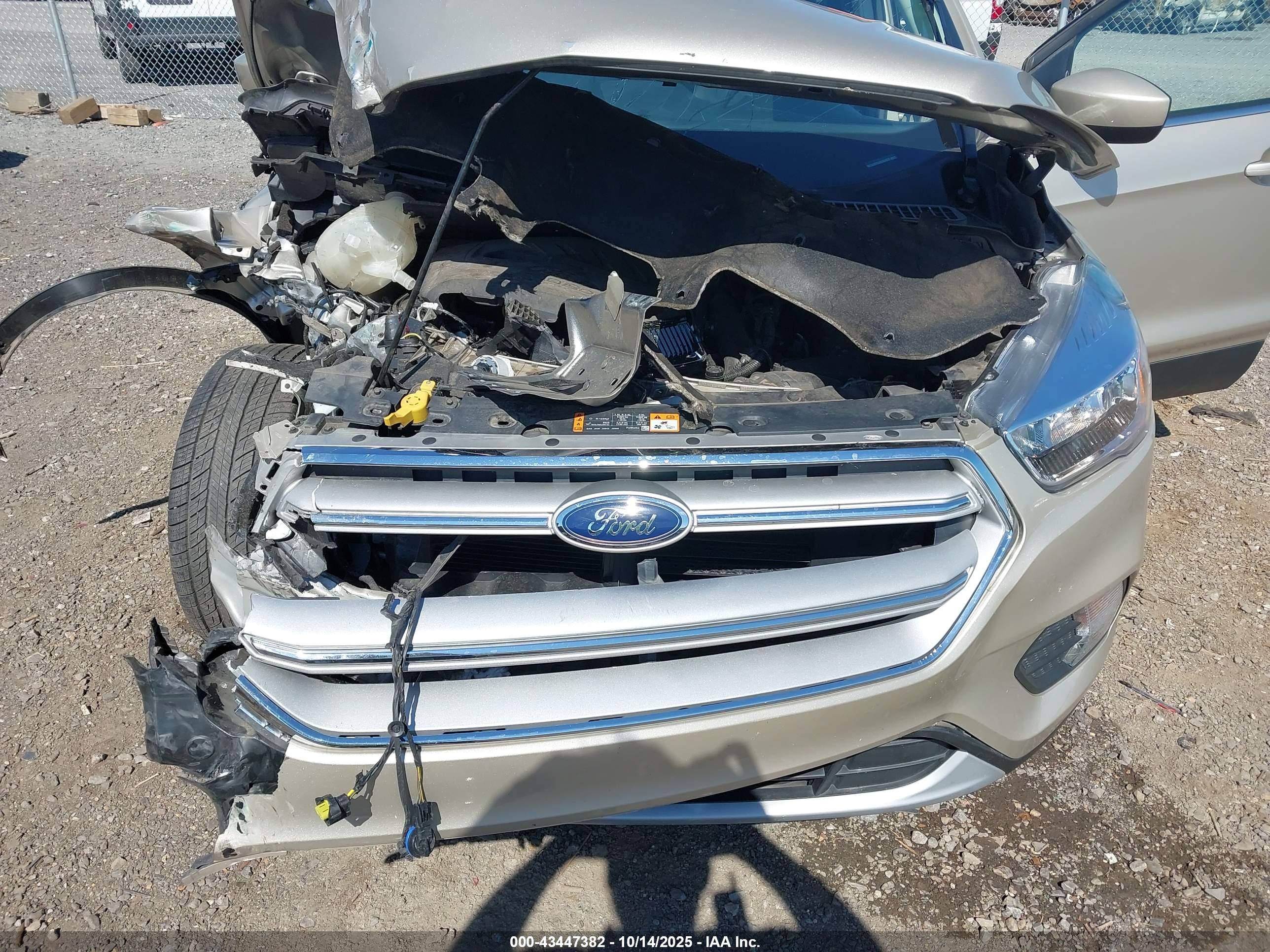 FORD ESCAPE image 10
