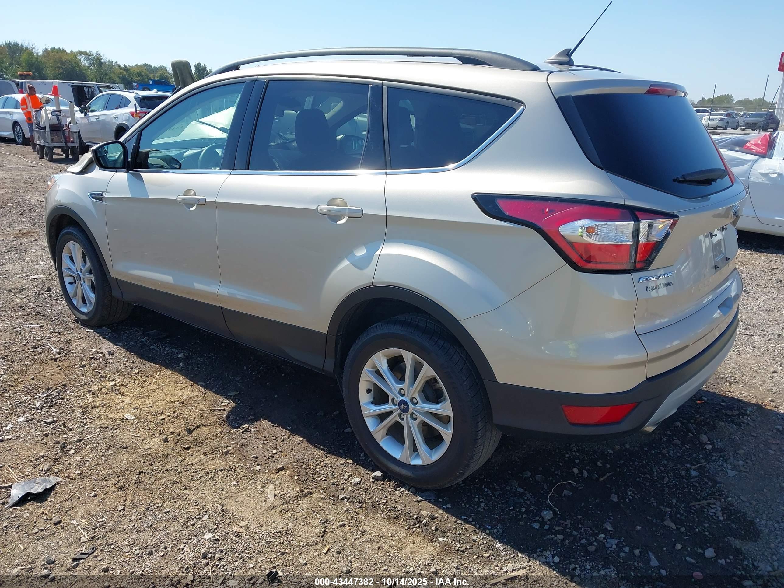 FORD ESCAPE image 3