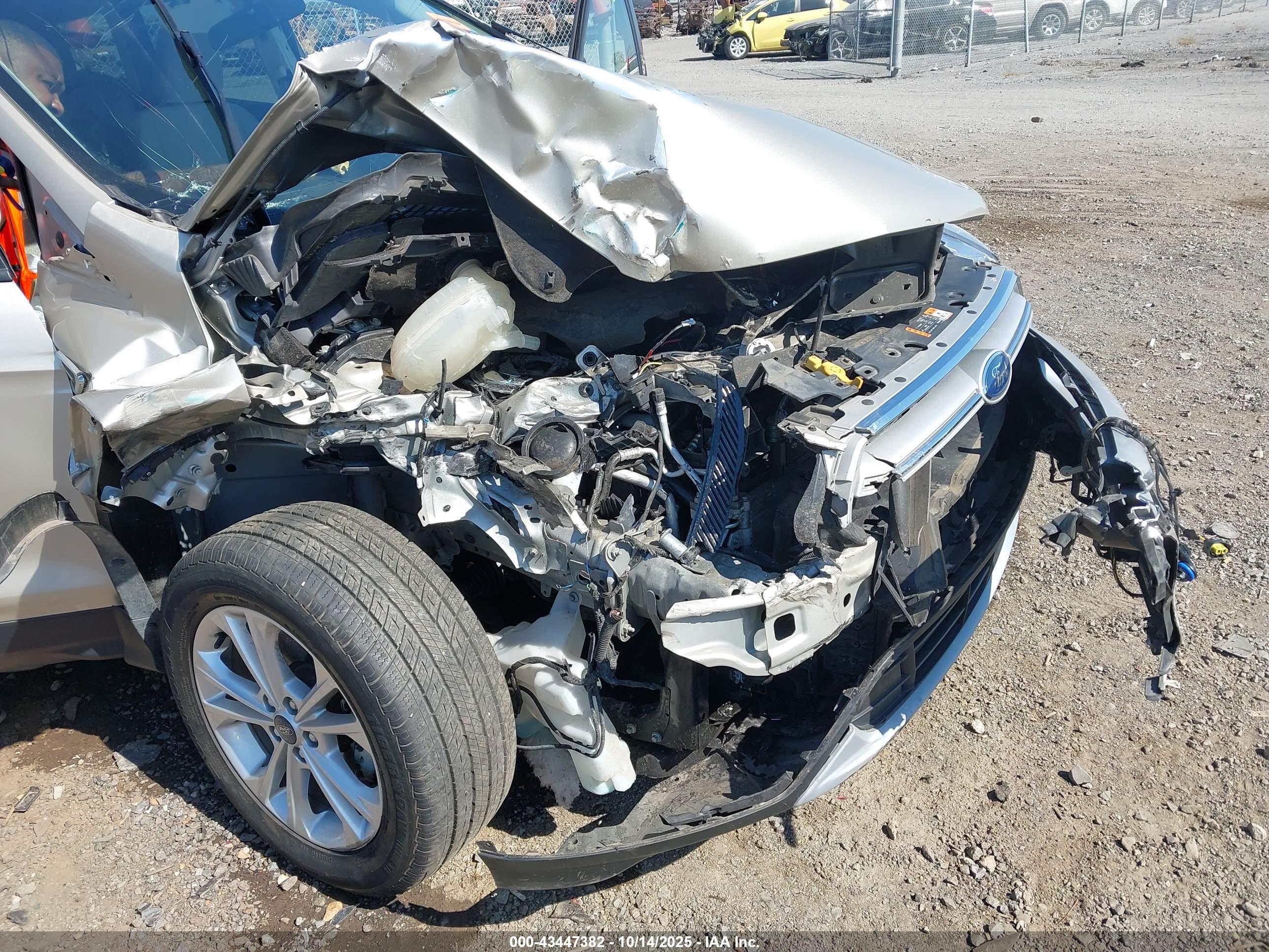 FORD ESCAPE image 6
