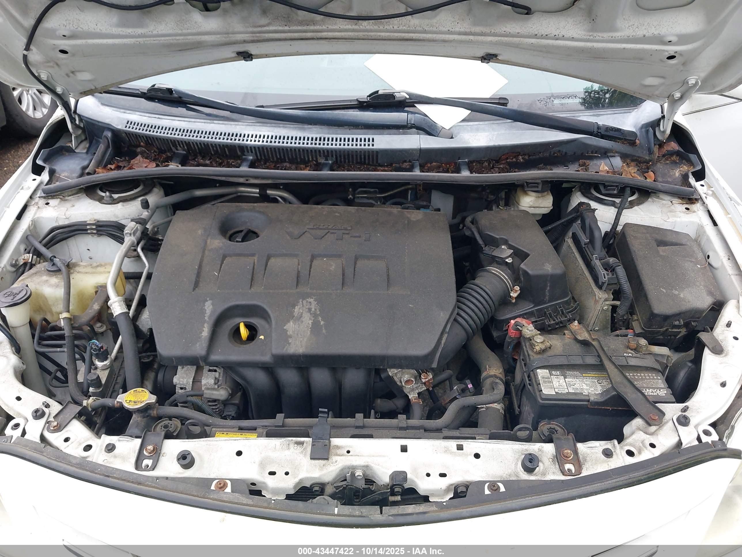 TOYOTA COROLLA image 10