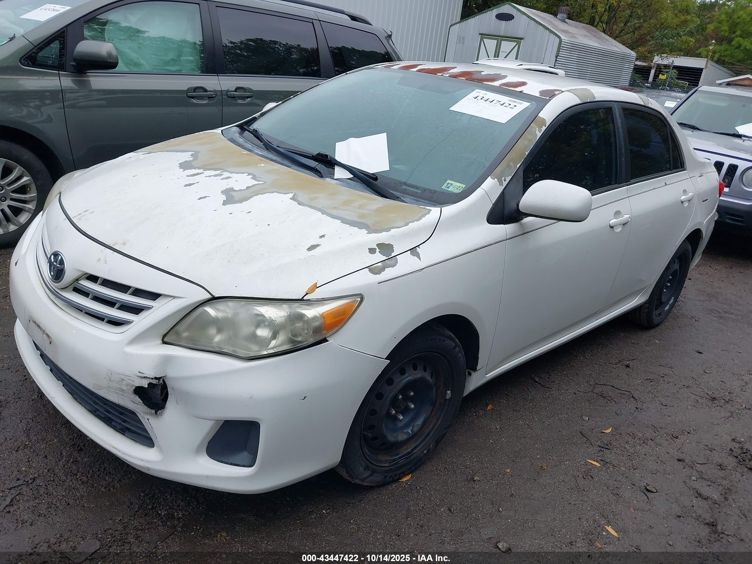 TOYOTA COROLLA image 2