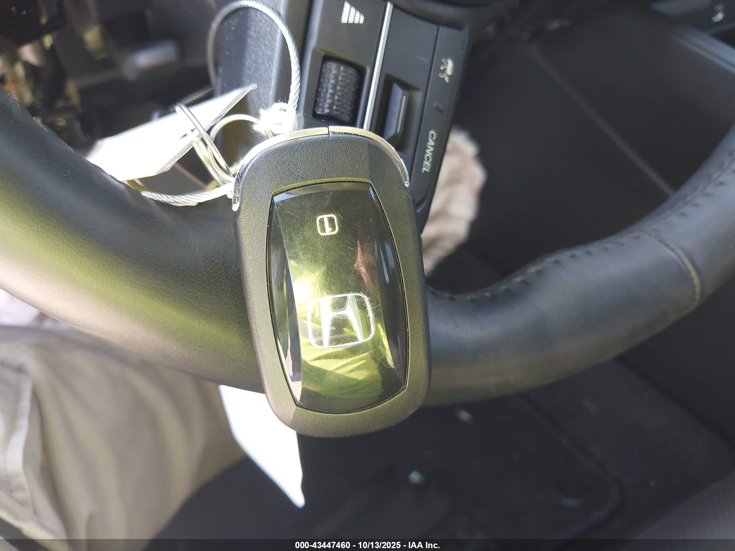 HONDA ACCORD image 11
