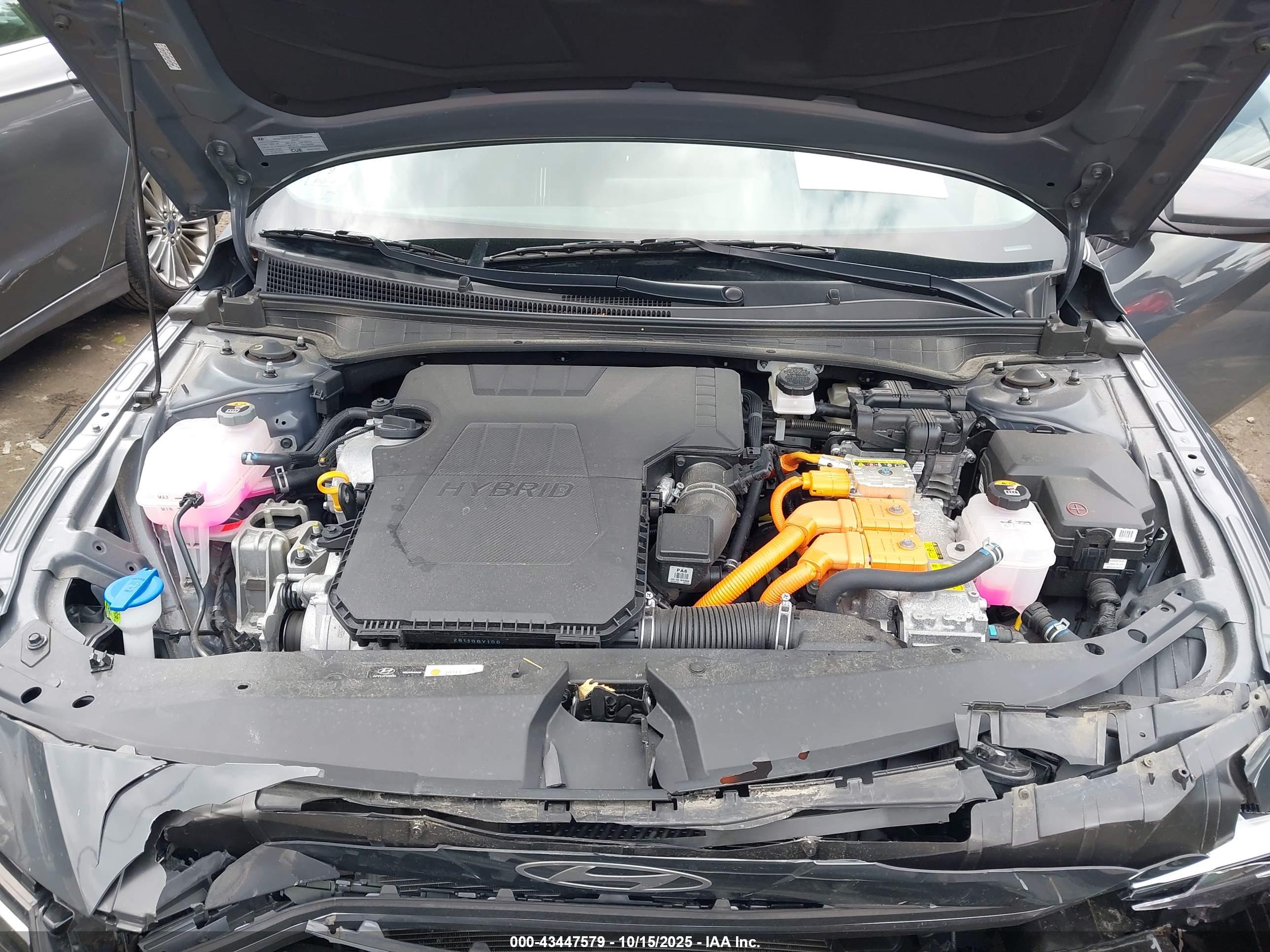 HYUNDAI ELANTRA image 10