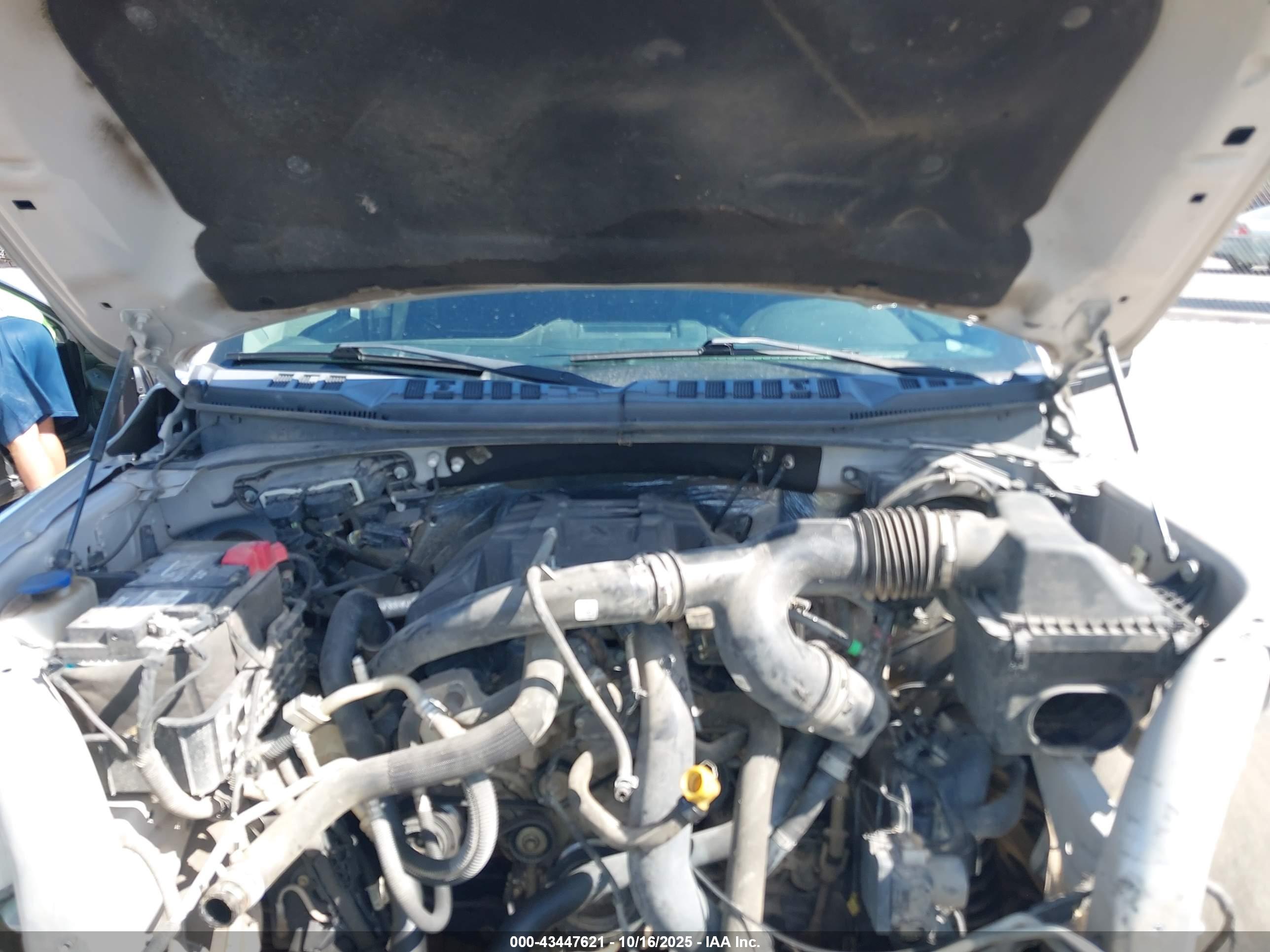 FORD F-150 image 10
