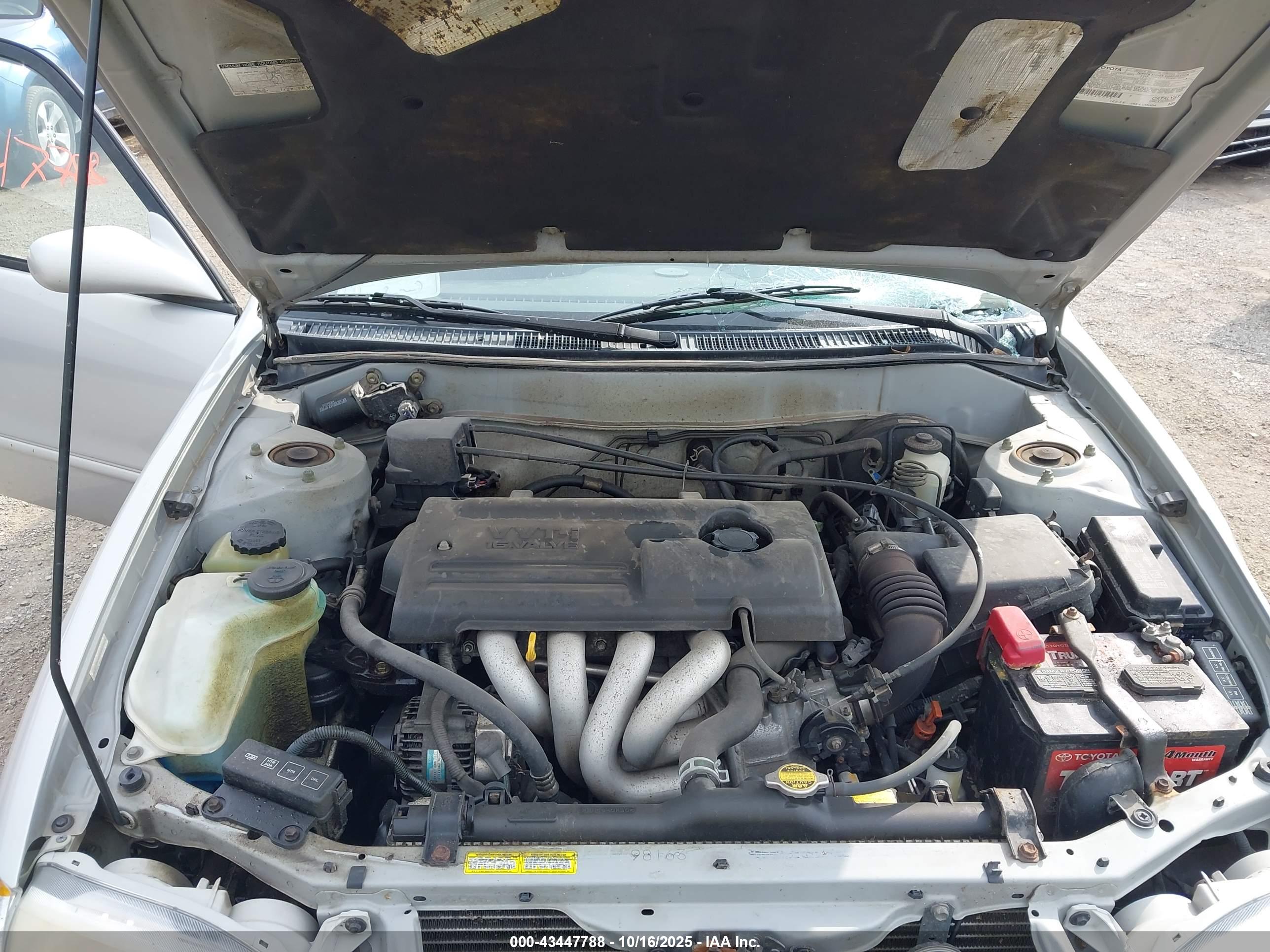 TOYOTA COROLLA image 10