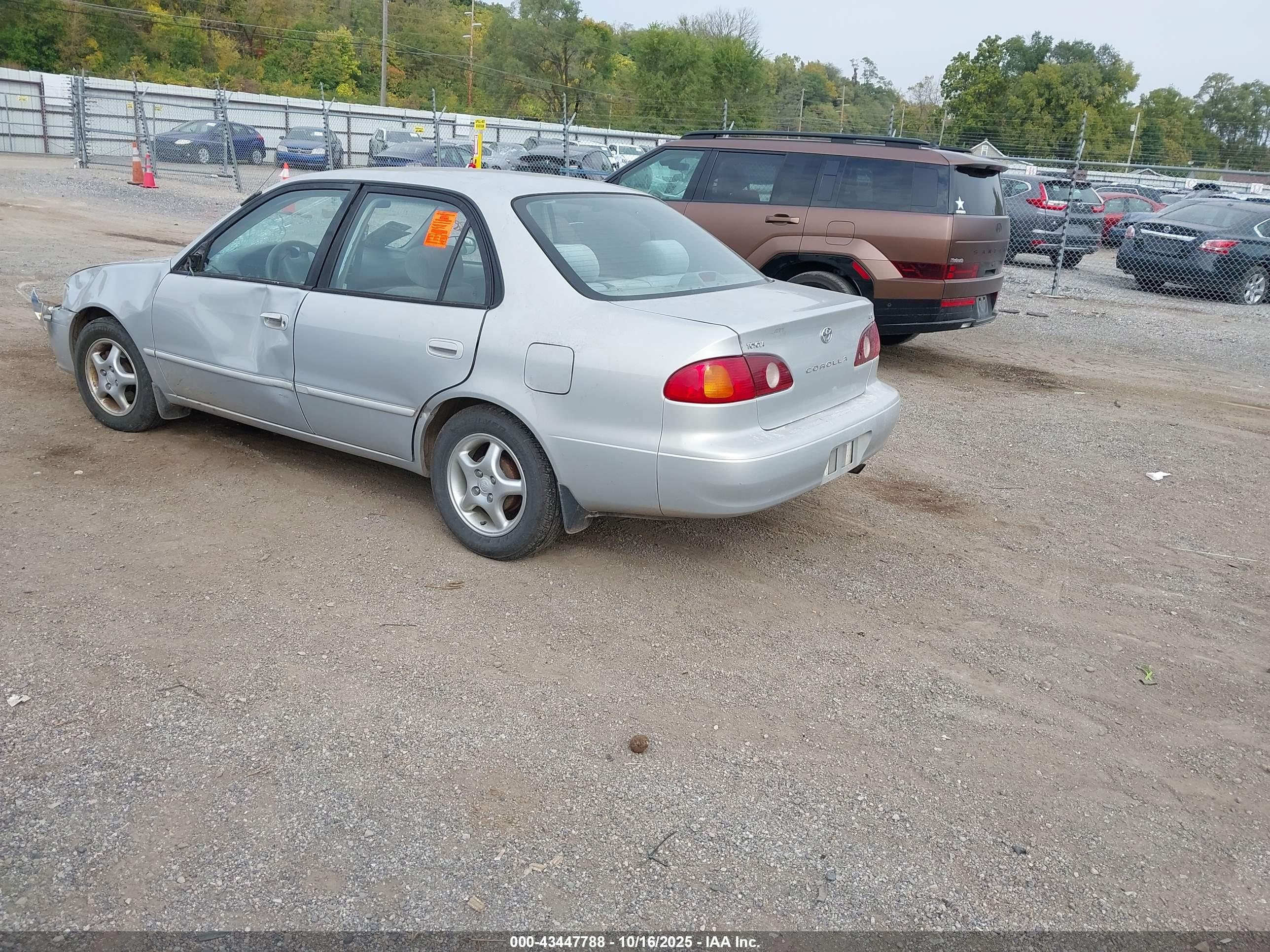 TOYOTA COROLLA image 3