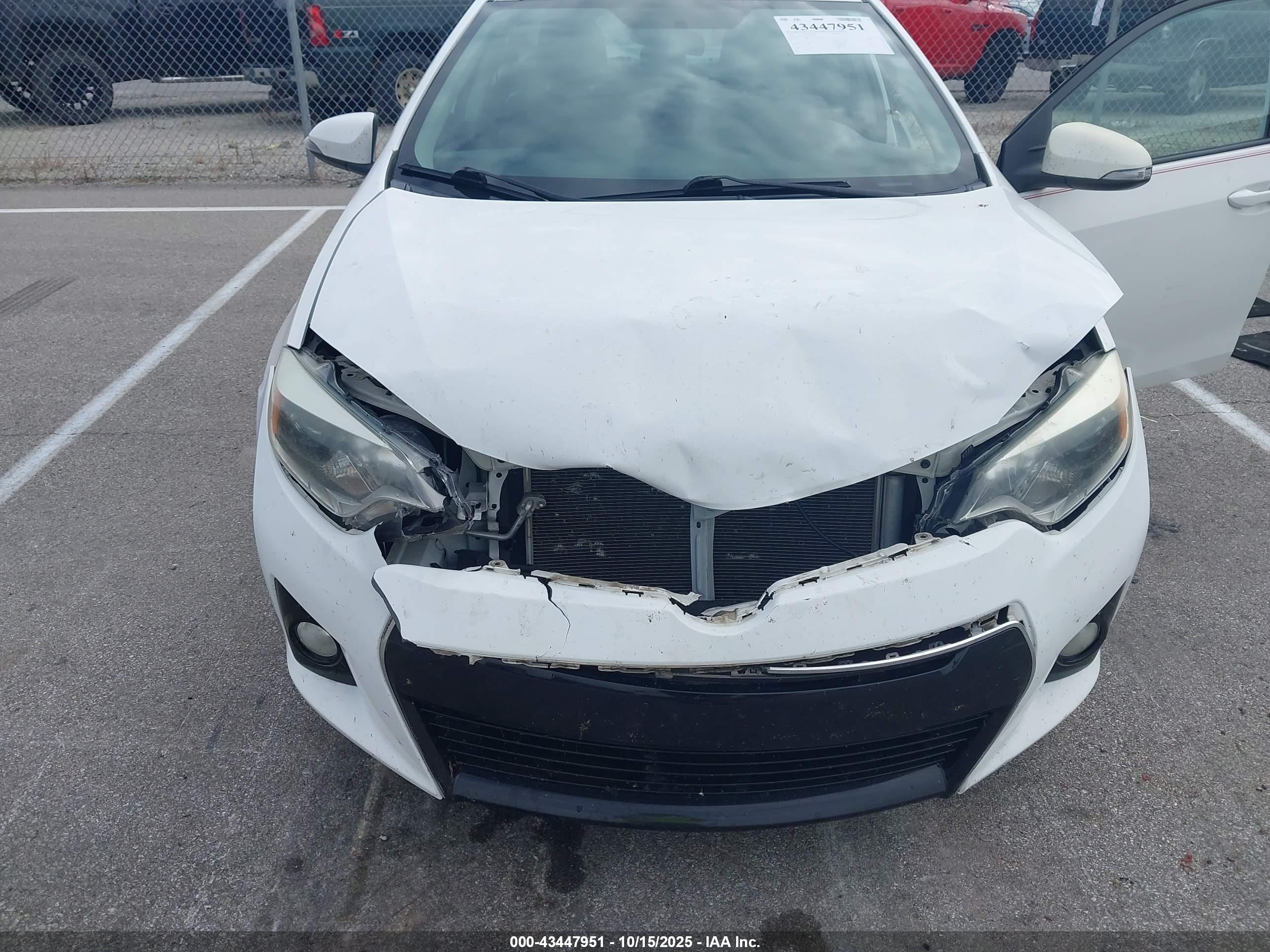 TOYOTA COROLLA image 6