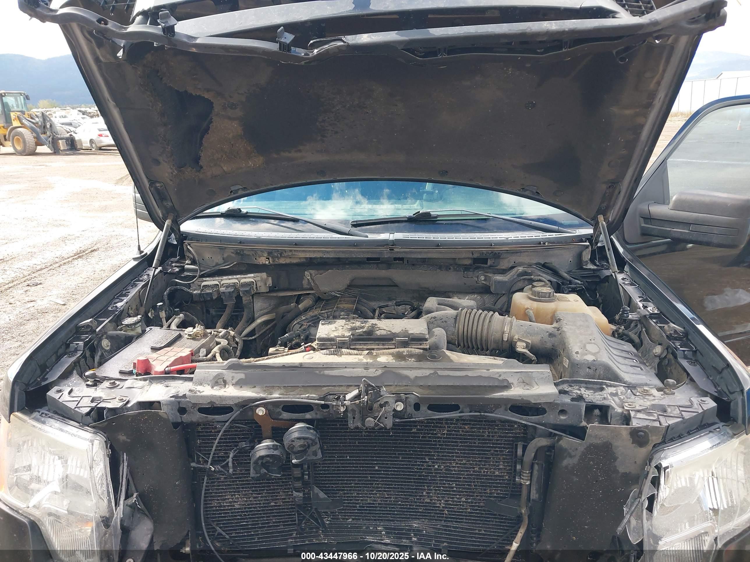 FORD F-150 image 10