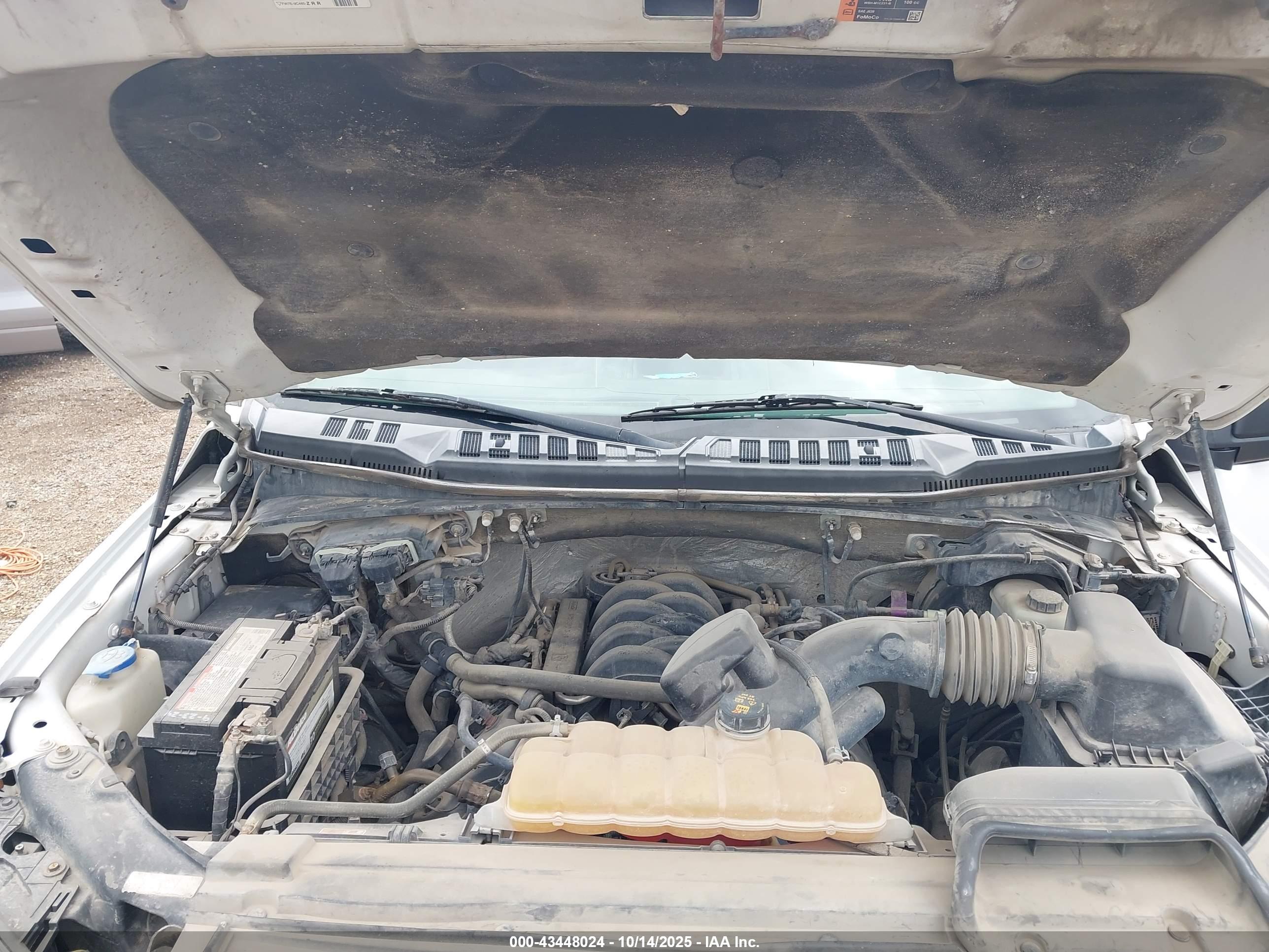 FORD F-150 image 10