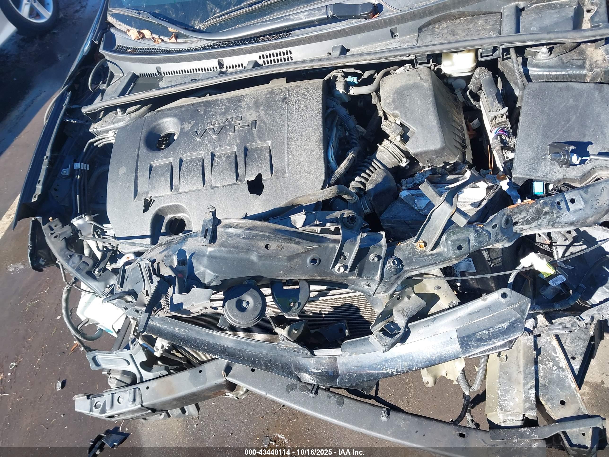 TOYOTA COROLLA image 10