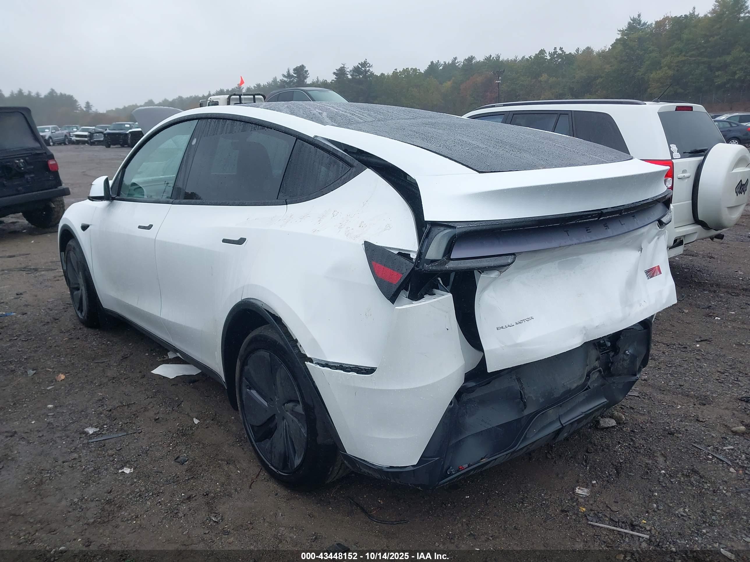 TESLA MODEL image 3